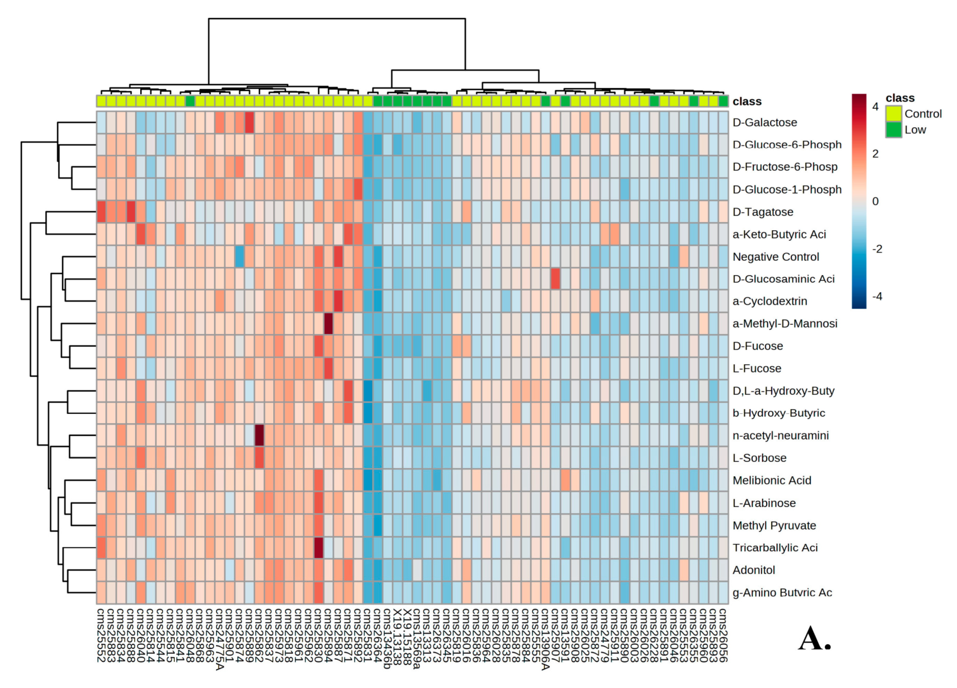 Genes 14 00490 g004a Genes 14 00490 g004a