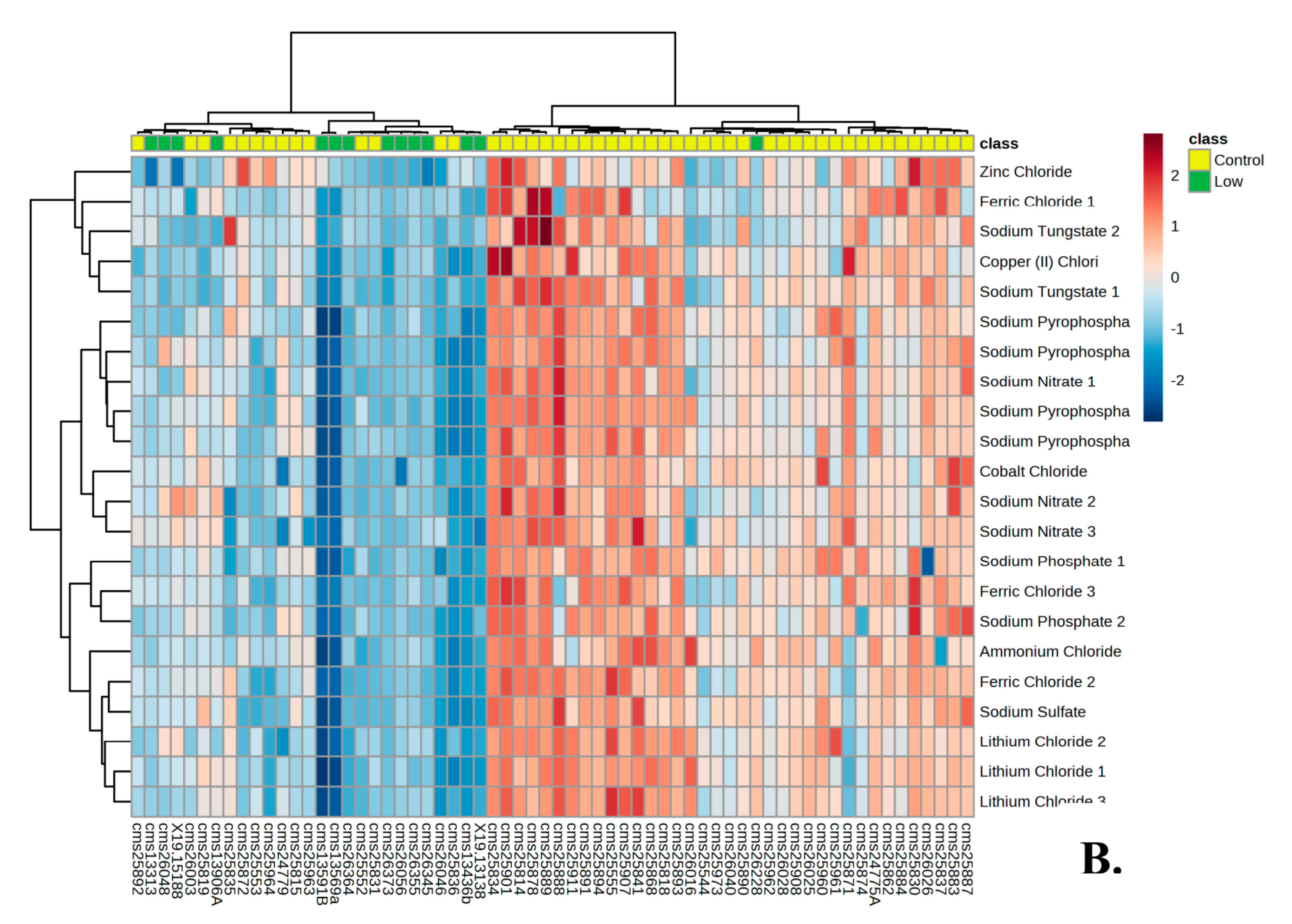 Genes 14 00490 g004b Genes 14 00490 g004b