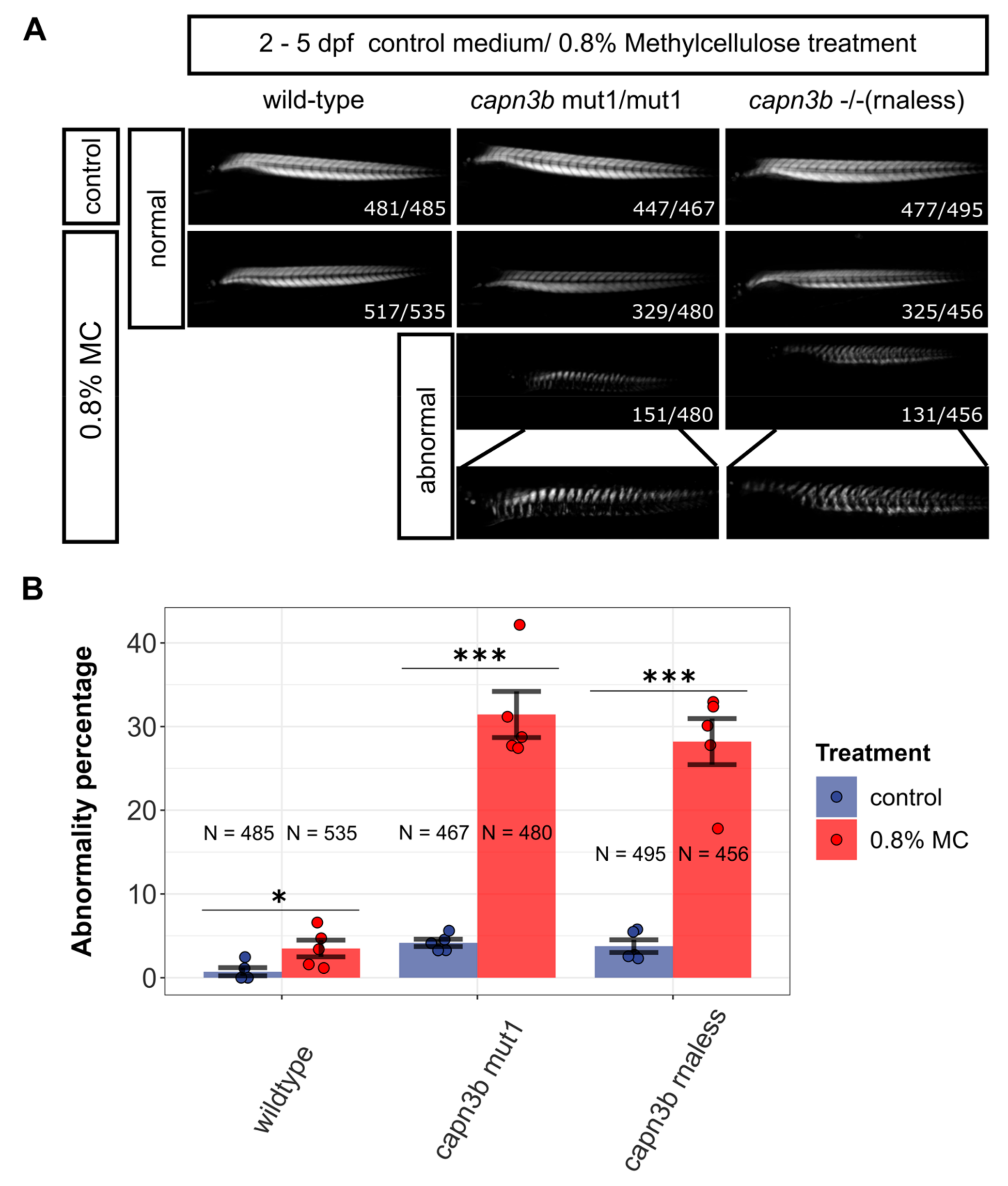 Genes 14 00492 g004 Genes 14 00492 g004