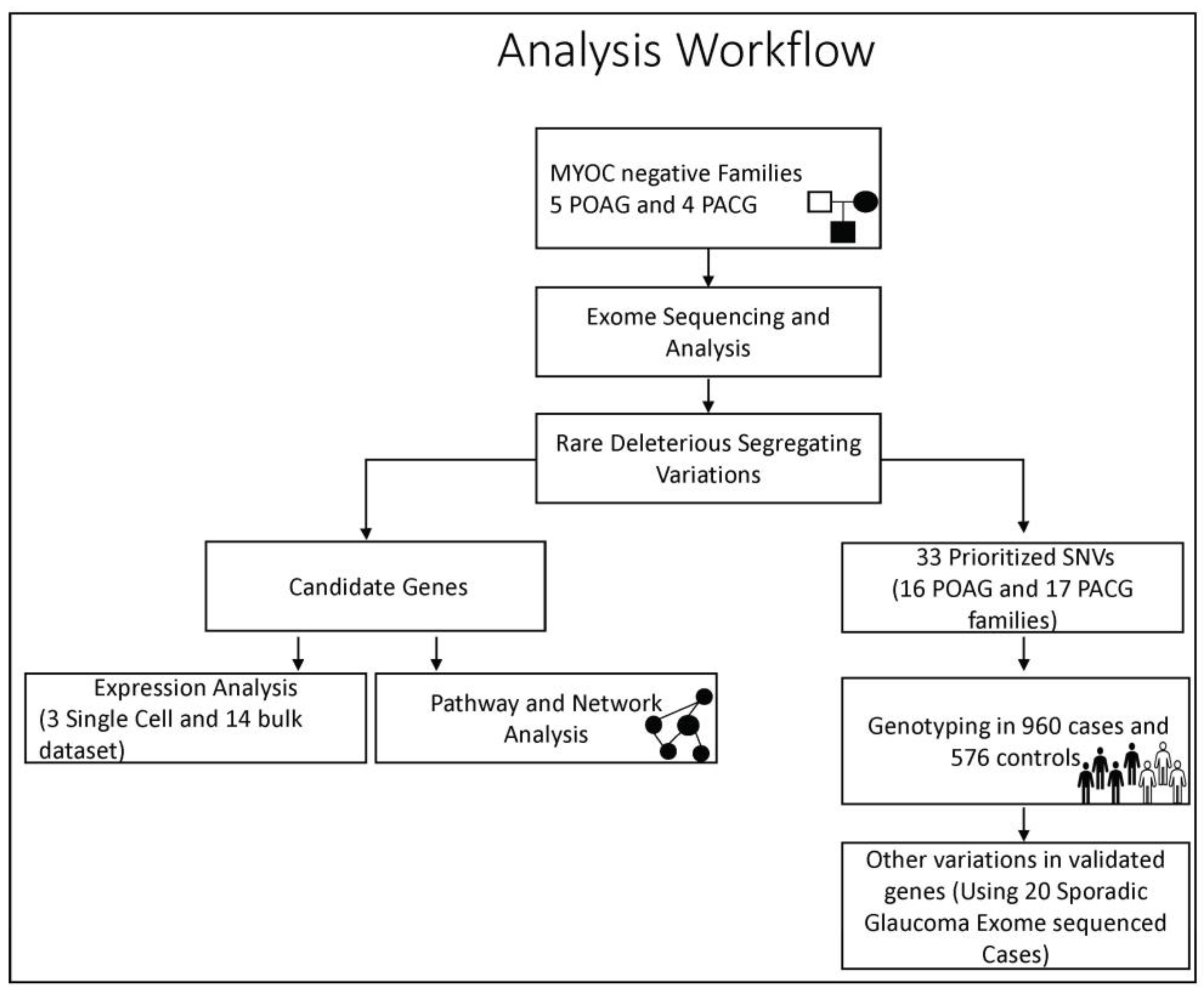 Genes 14 00495 g001 Genes 14 00495 g001