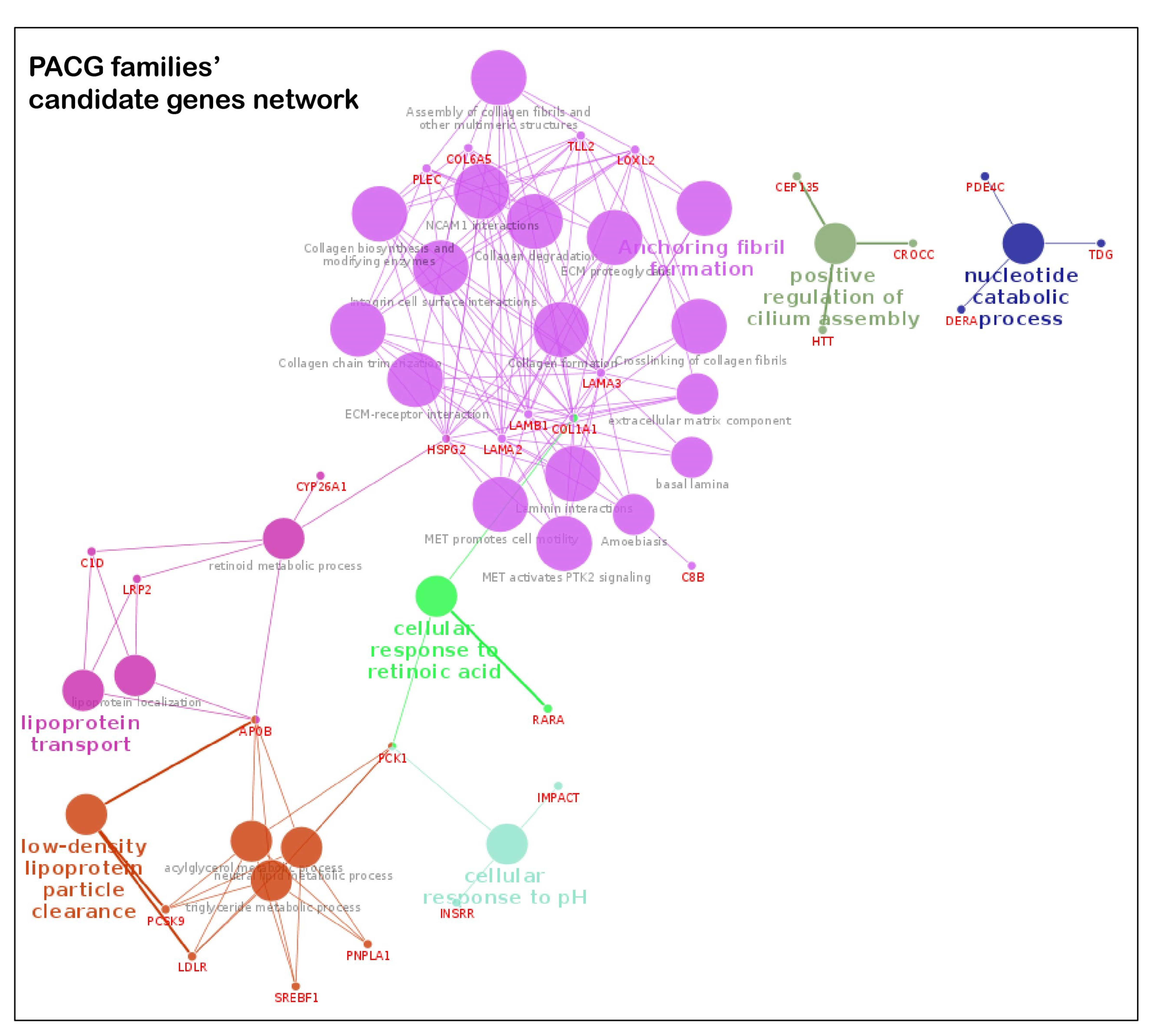 Genes 14 00495 g004b Genes 14 00495 g004b
