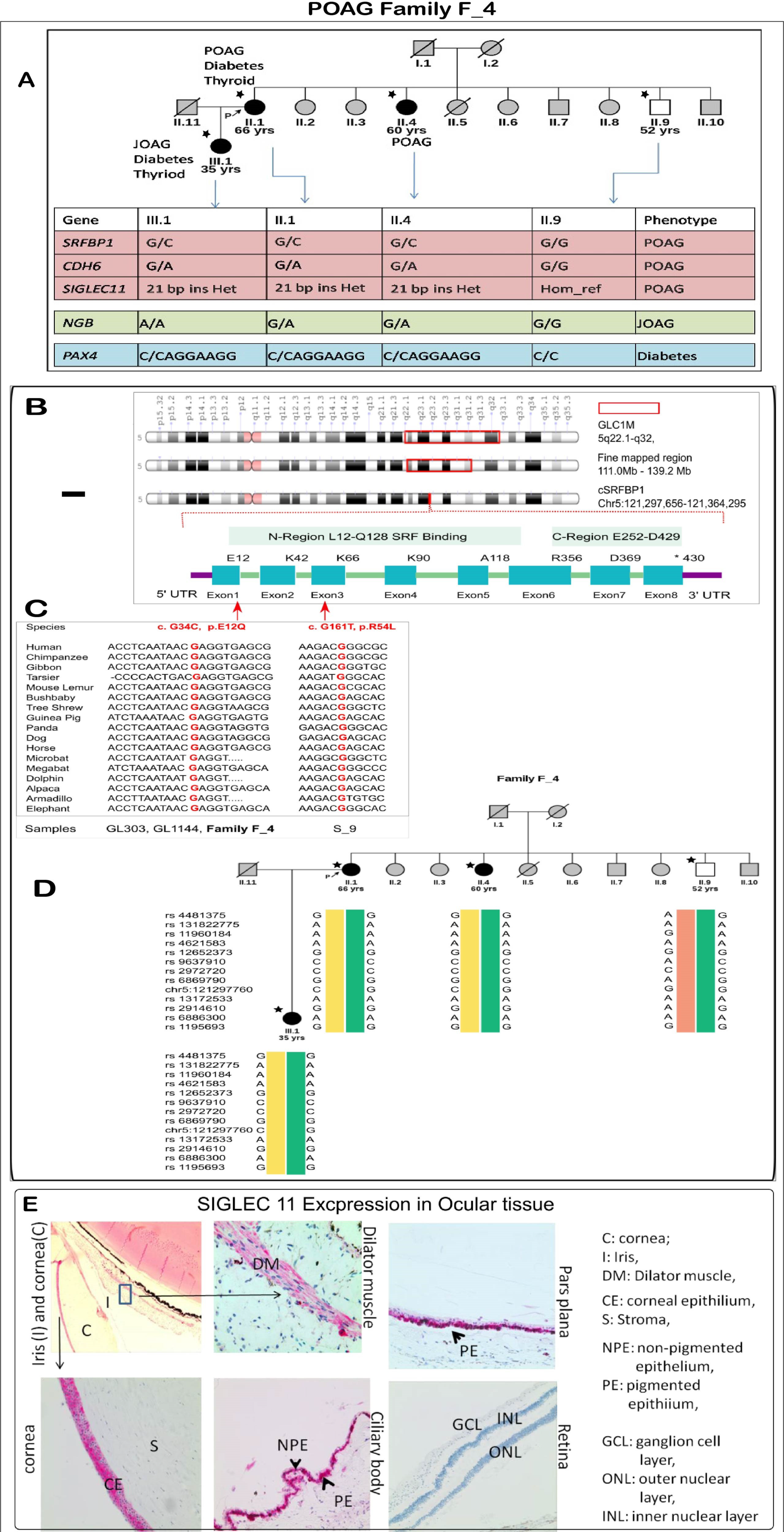 Genes 14 00495 g005 Genes 14 00495 g005