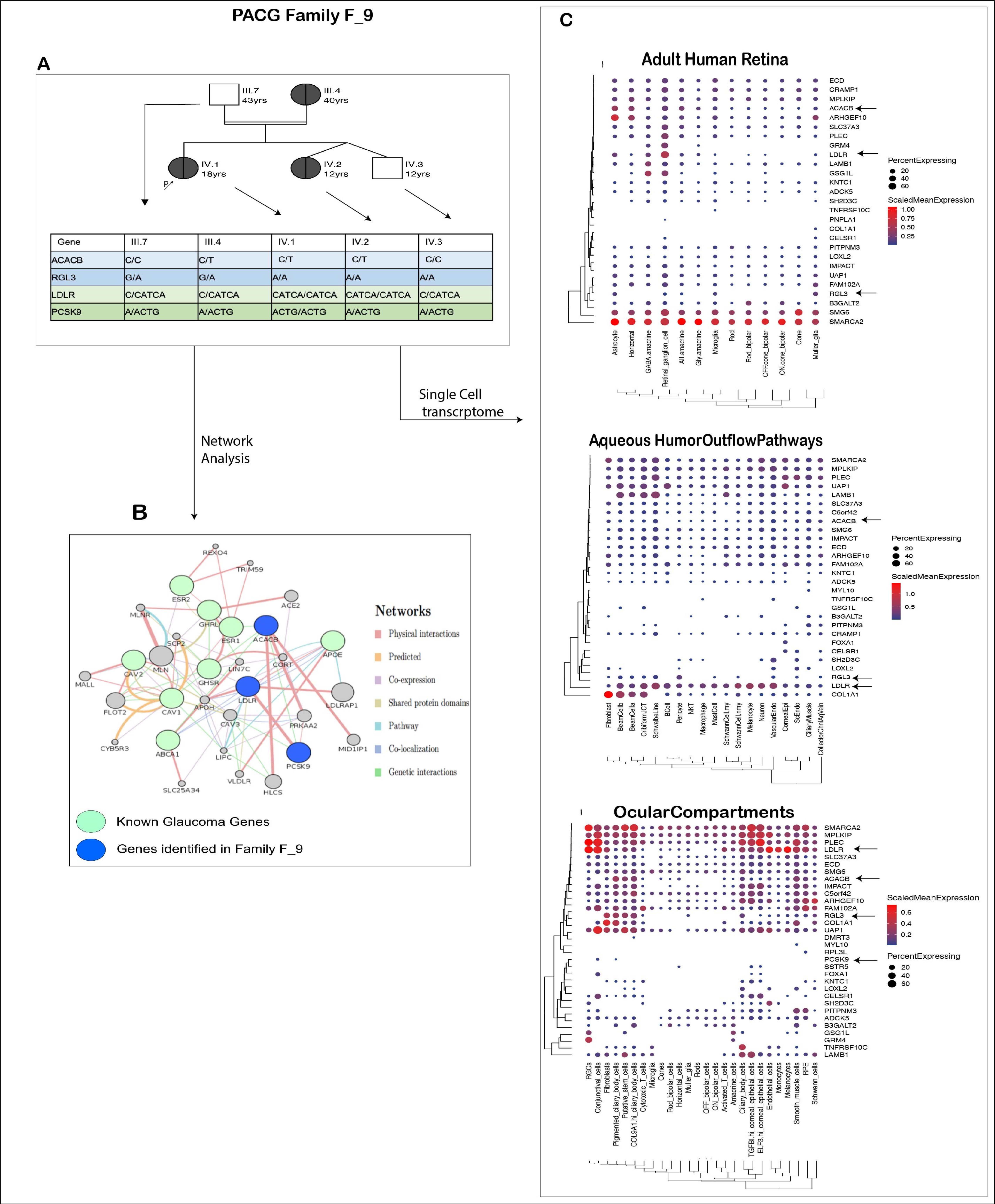 Genes 14 00495 g006 Genes 14 00495 g006