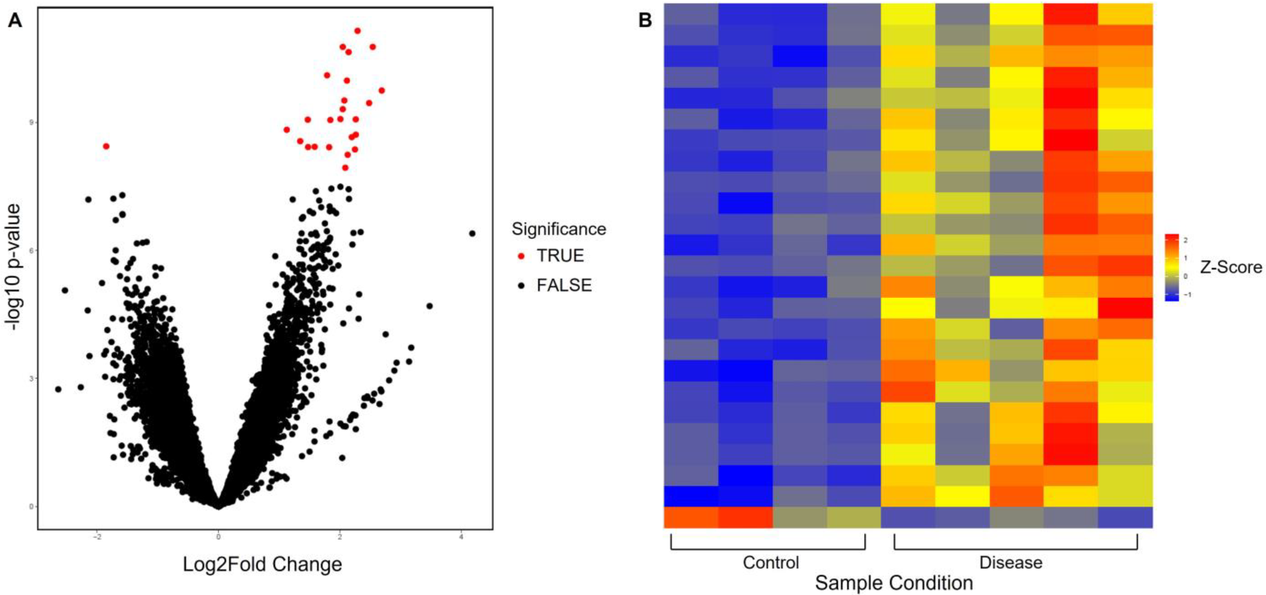 Genes 14 00496 g001