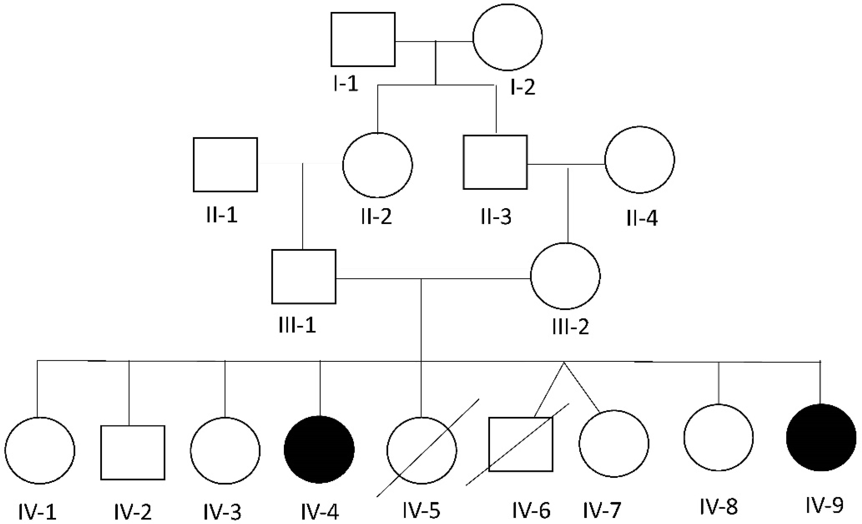 Genes 14 00497 g001 Genes 14 00497 g001