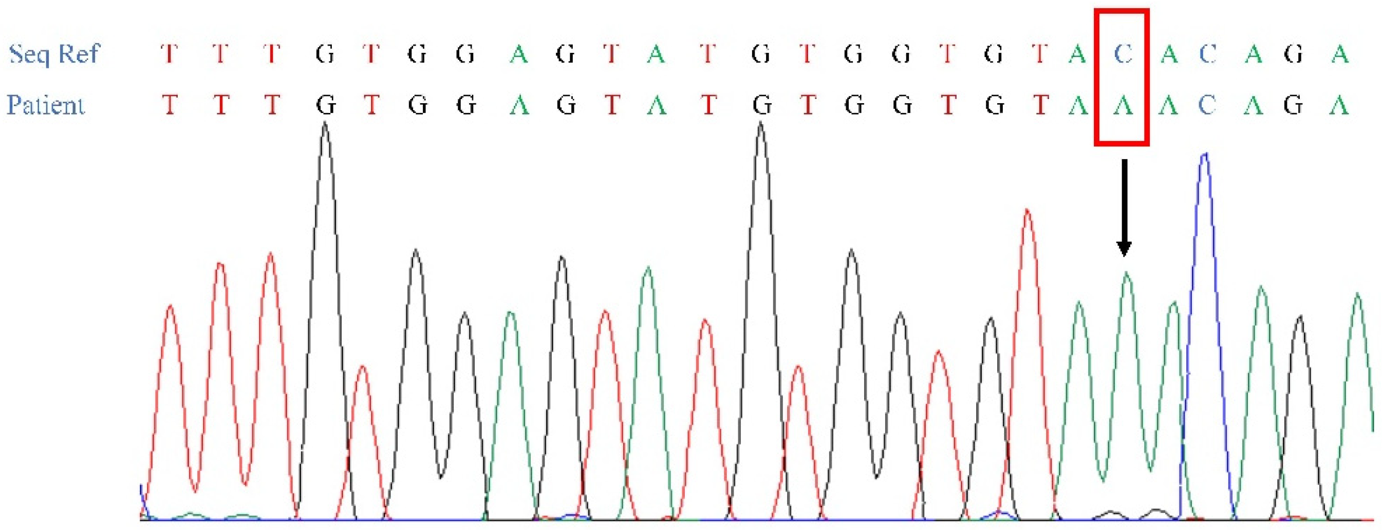 Genes 14 00497 g004 Genes 14 00497 g004