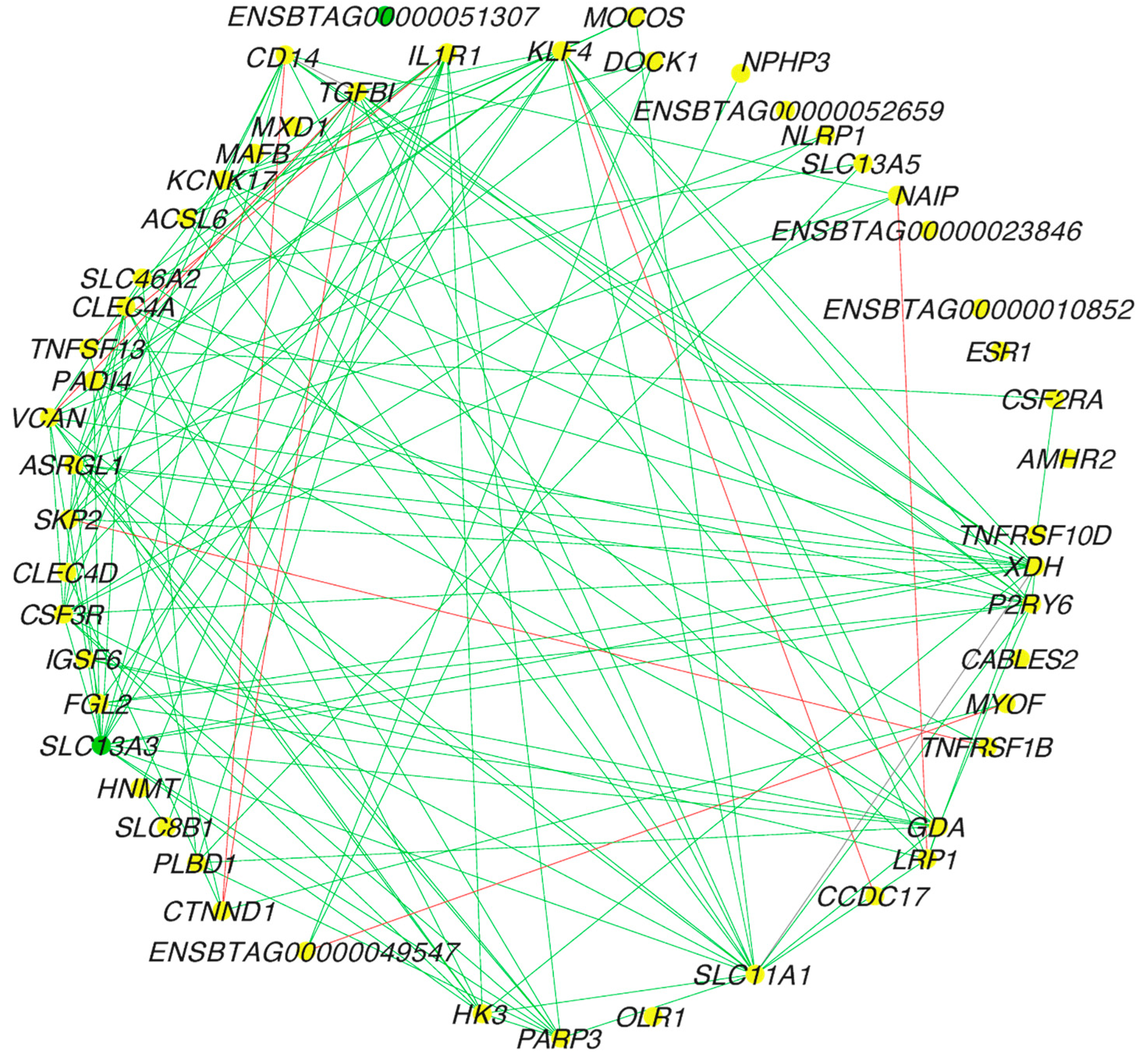 Genes 14 00498 g003 Genes 14 00498 g003