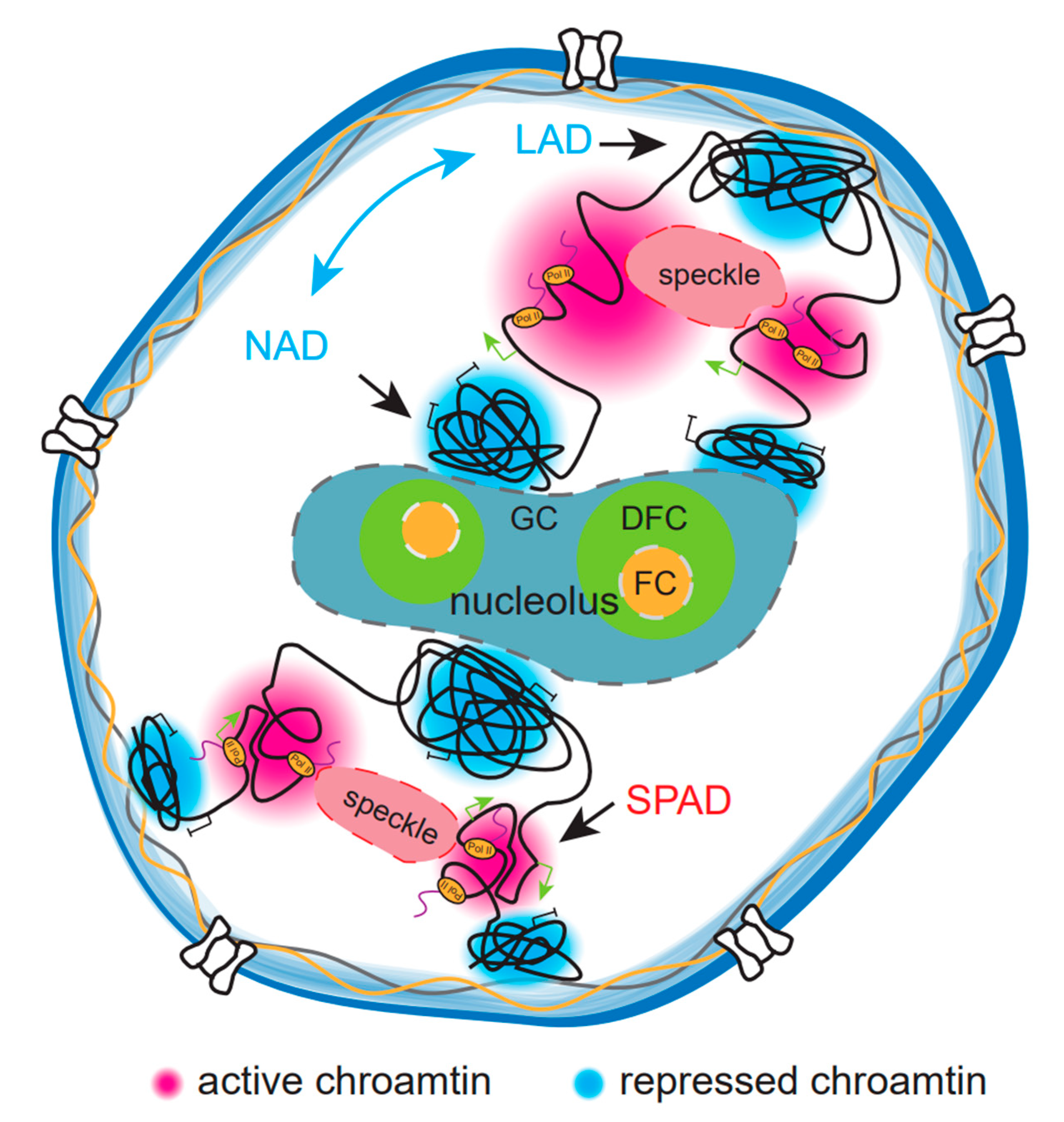 Genes 14 00499 g002 Genes 14 00499 g002