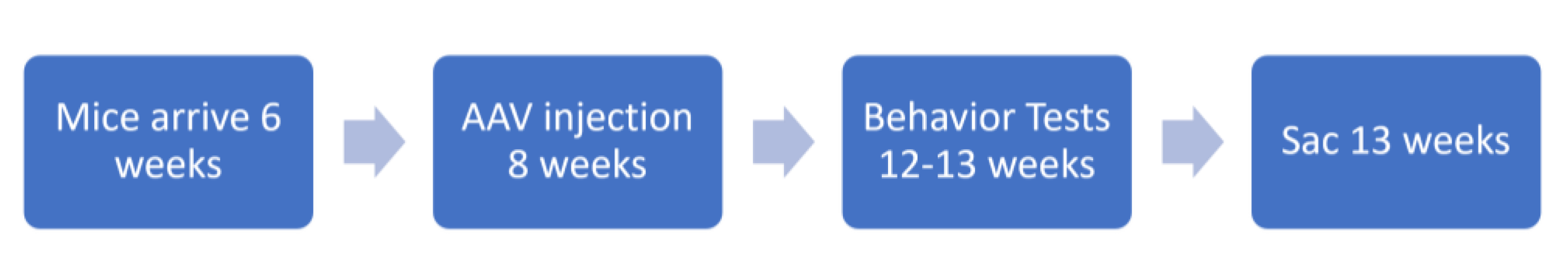 Genes 14 00505 g001 Genes 14 00505 g001