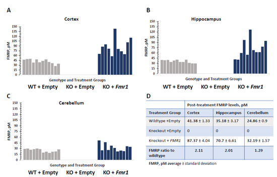 FMRP(1–297)-tat restores ion channel and synaptic function in a