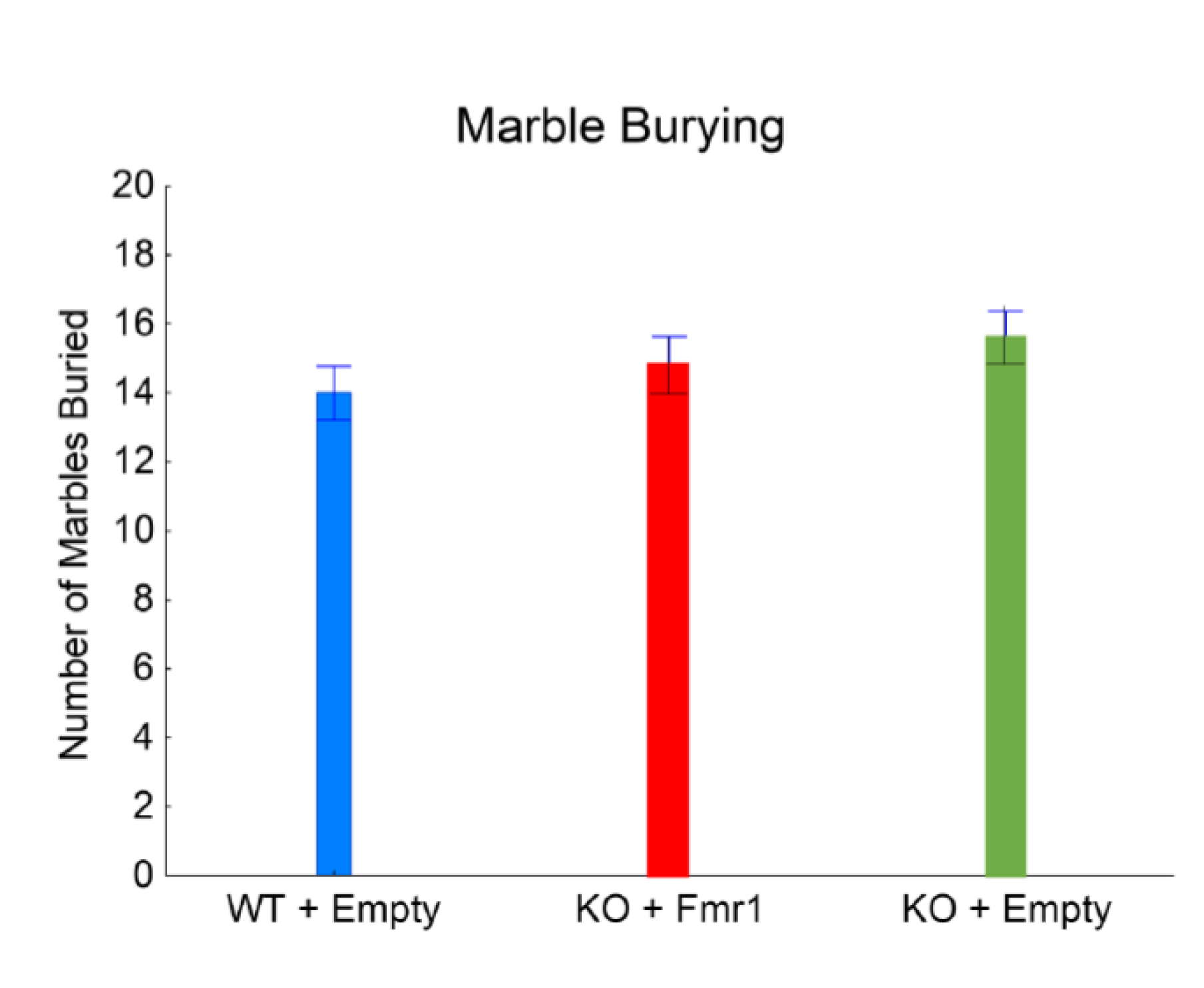 Genes 14 00505 g005 Genes 14 00505 g005