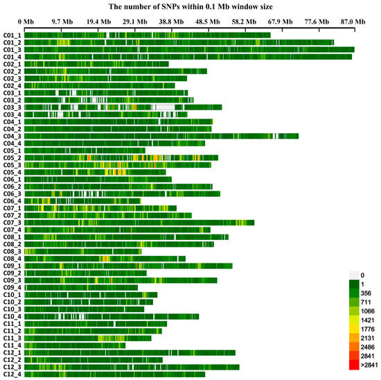 Insights into the Genetic Determination of the