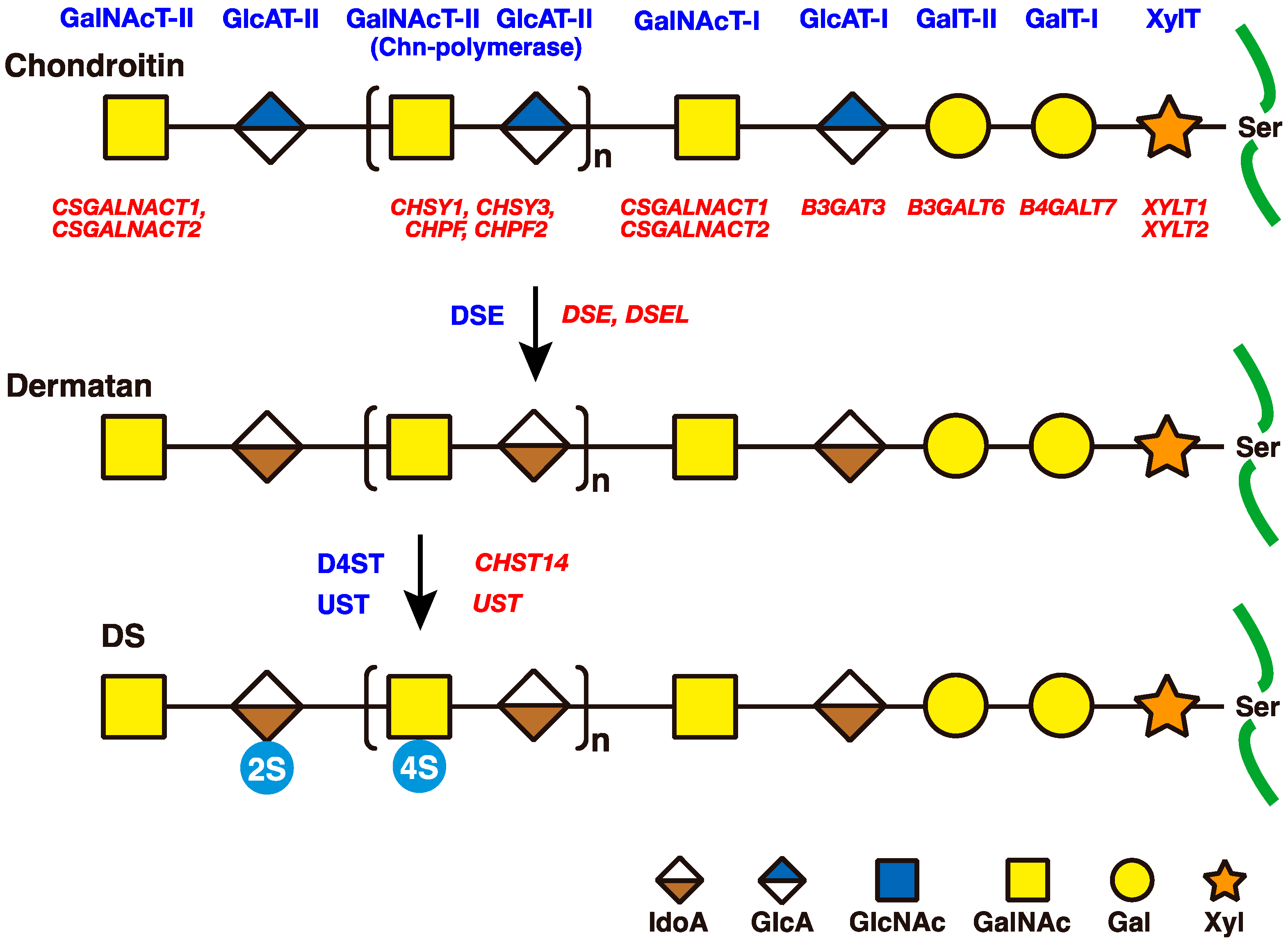 Genes 14 00509 g002 Genes 14 00509 g002