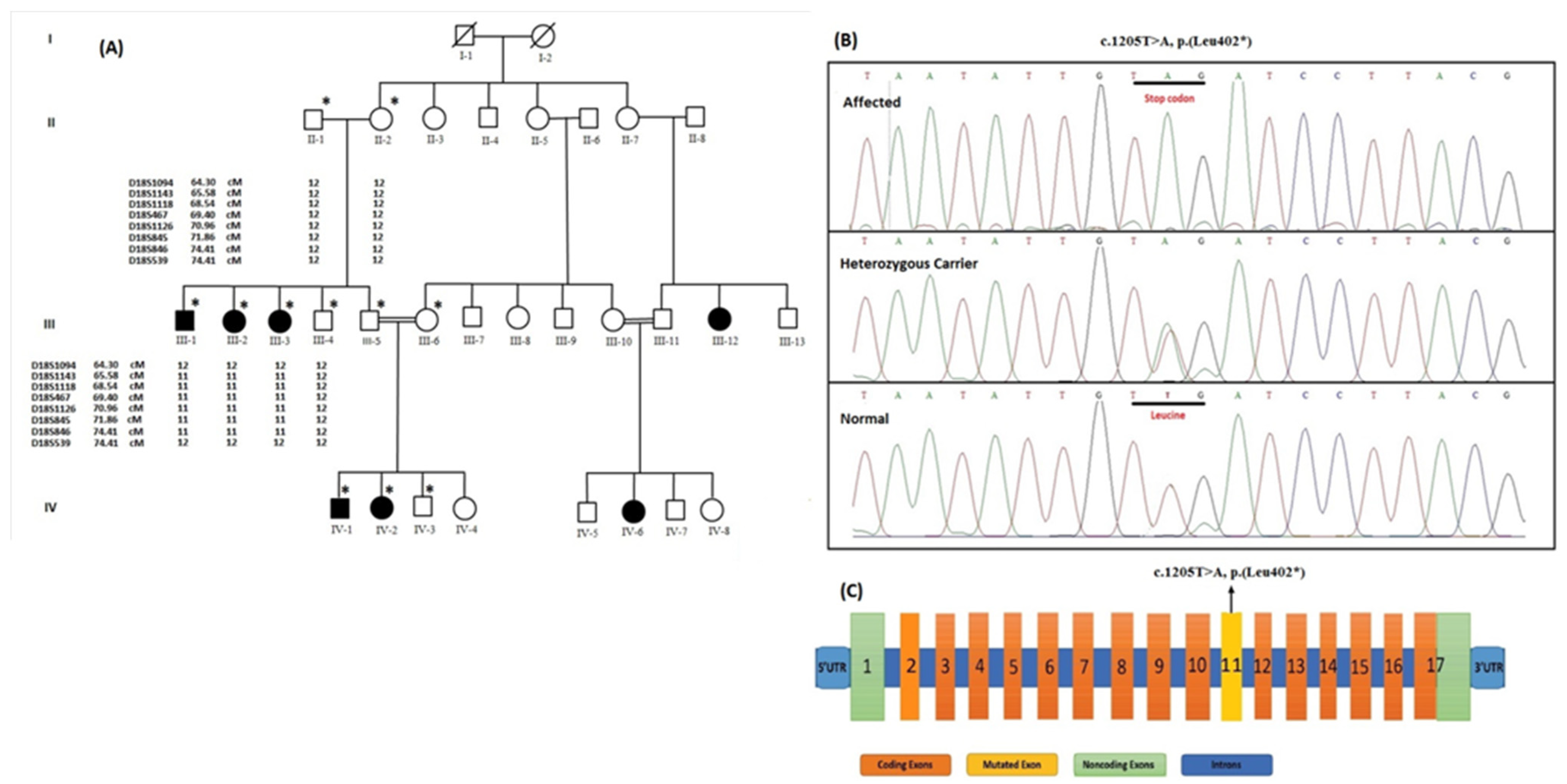 Genes 14 00510 g002 Genes 14 00510 g002