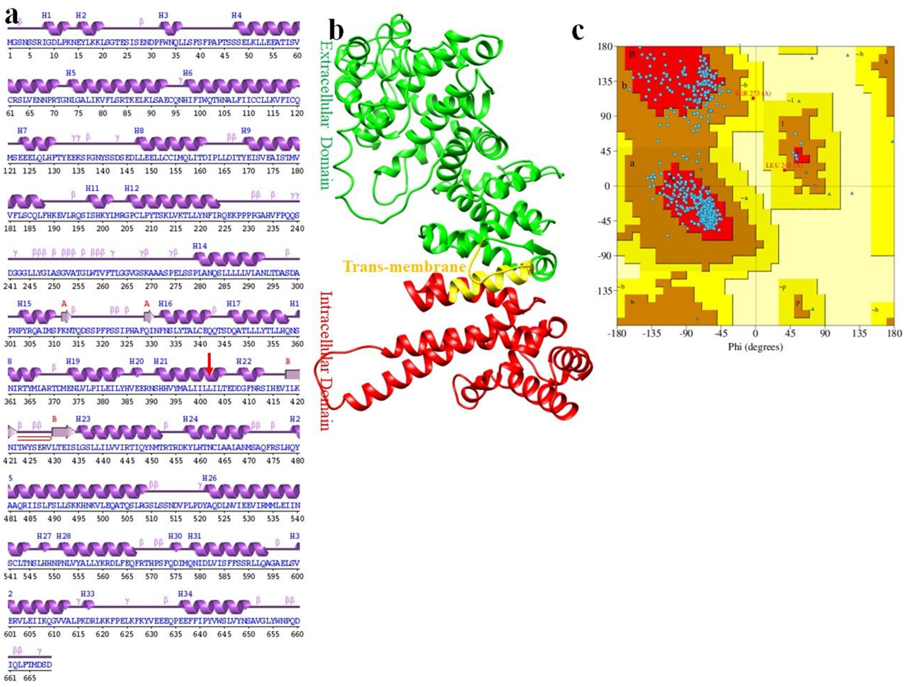 Genes 14 00510 g003 Genes 14 00510 g003