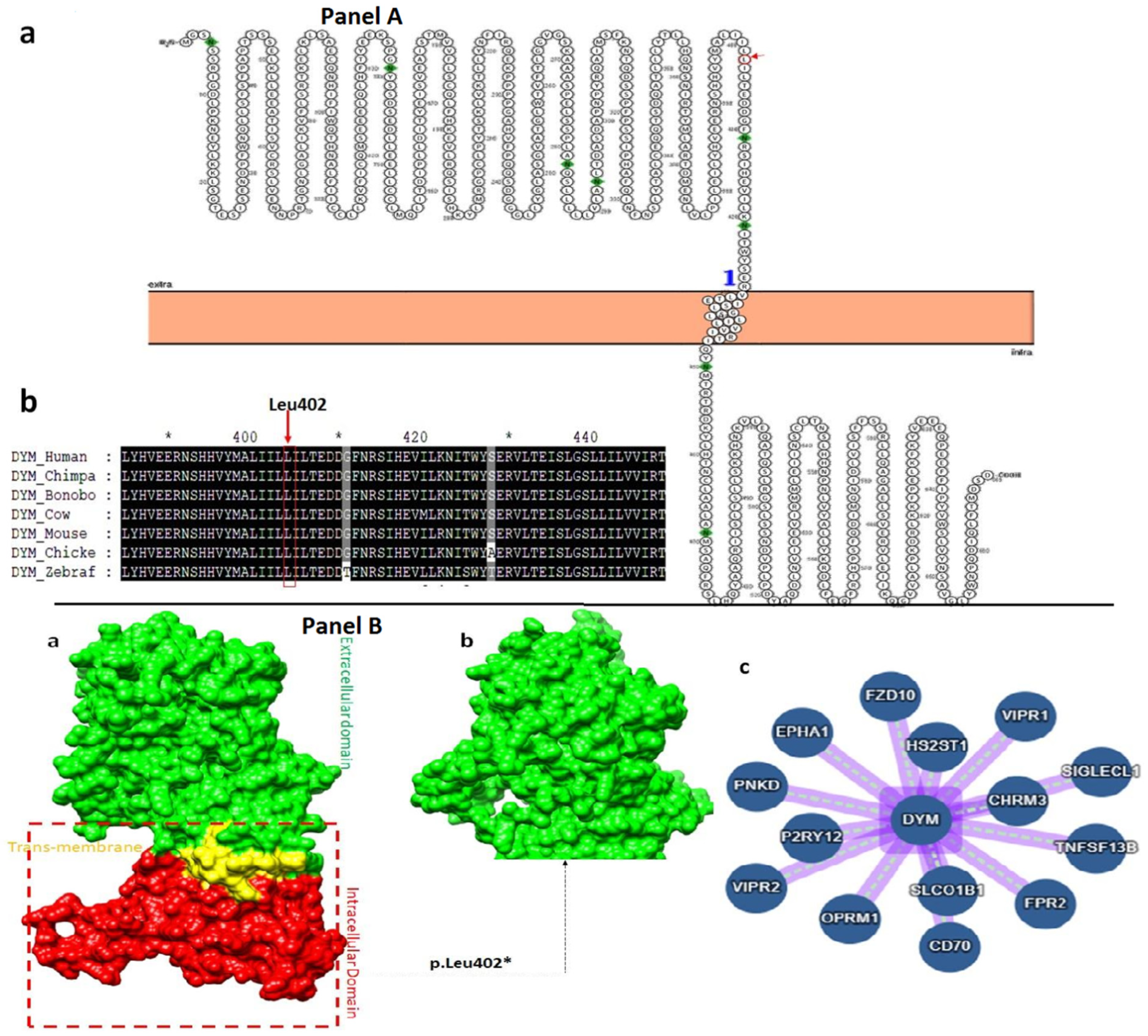 Genes 14 00510 g004 Genes 14 00510 g004