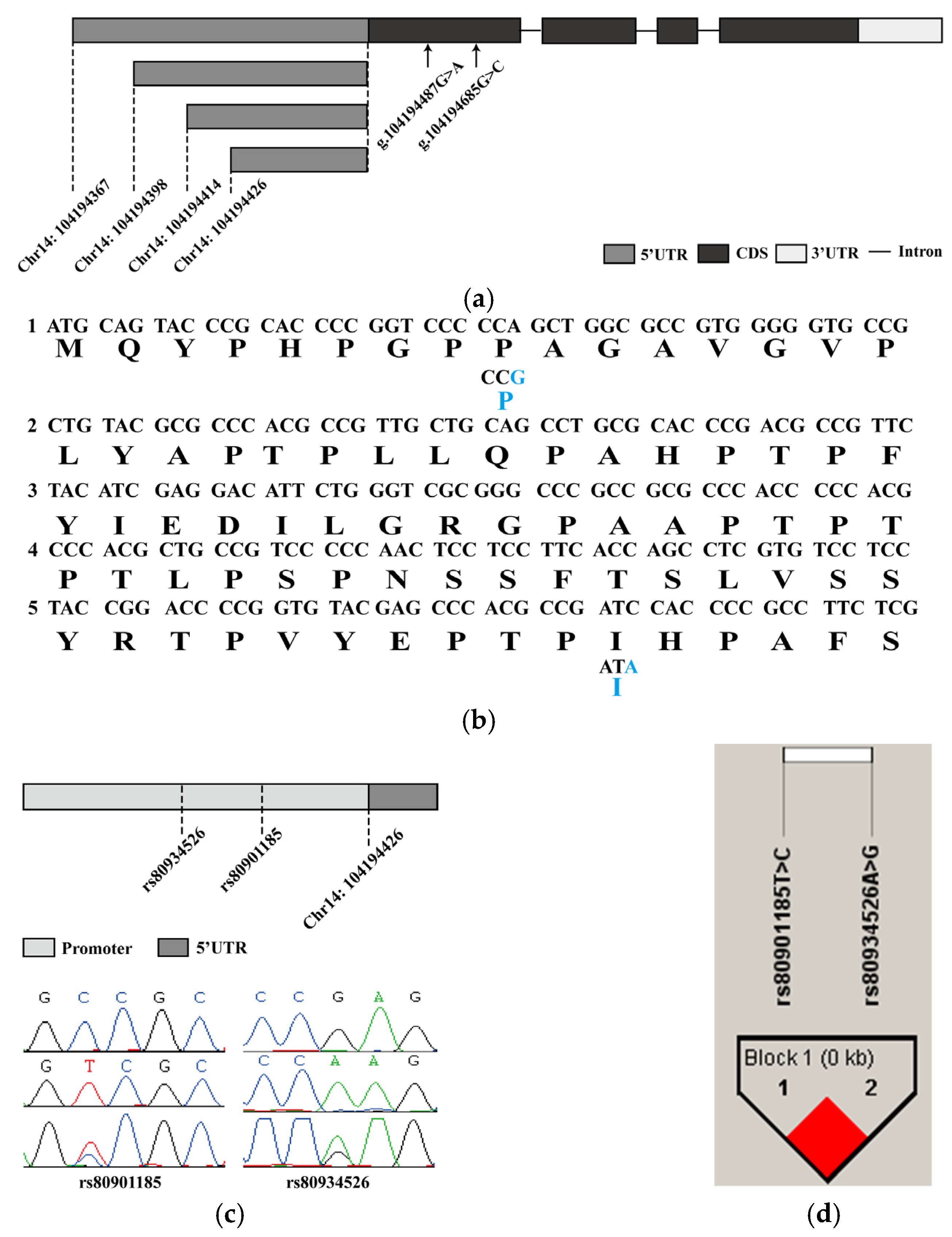 Genes 14 00511 g002 Genes 14 00511 g002