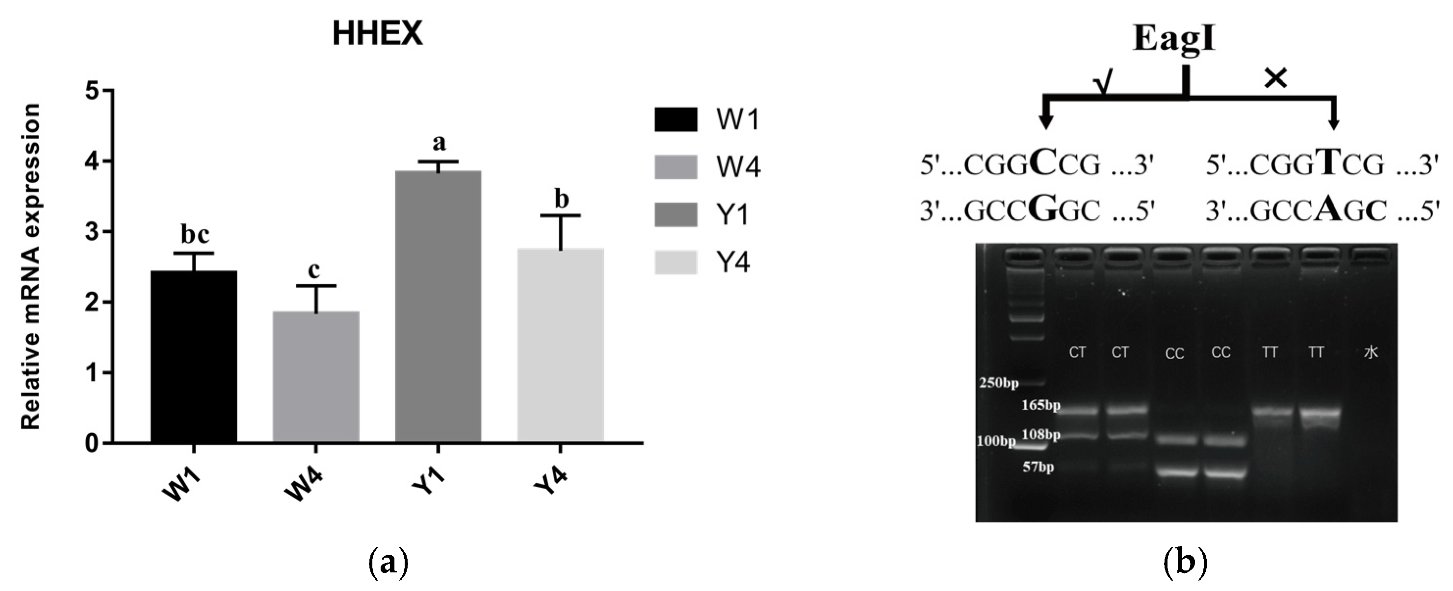 Genes 14 00511 g003 Genes 14 00511 g003