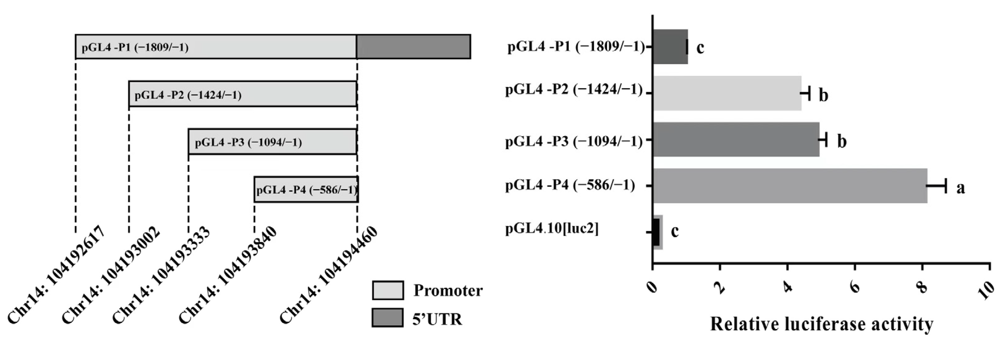 Genes 14 00511 g004 Genes 14 00511 g004