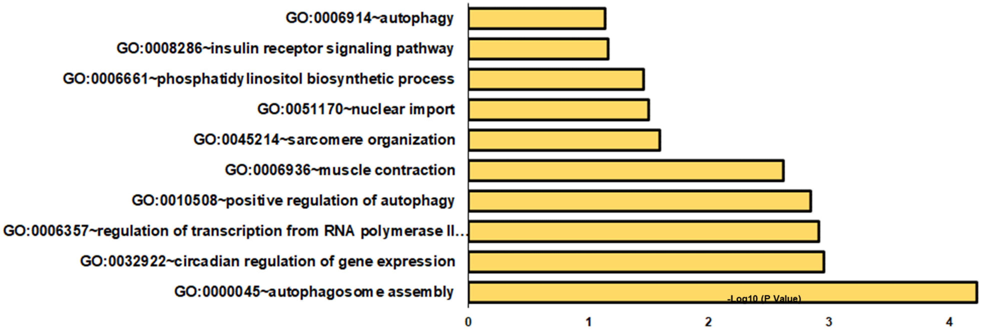 Genes 14 00512 g004 Genes 14 00512 g004