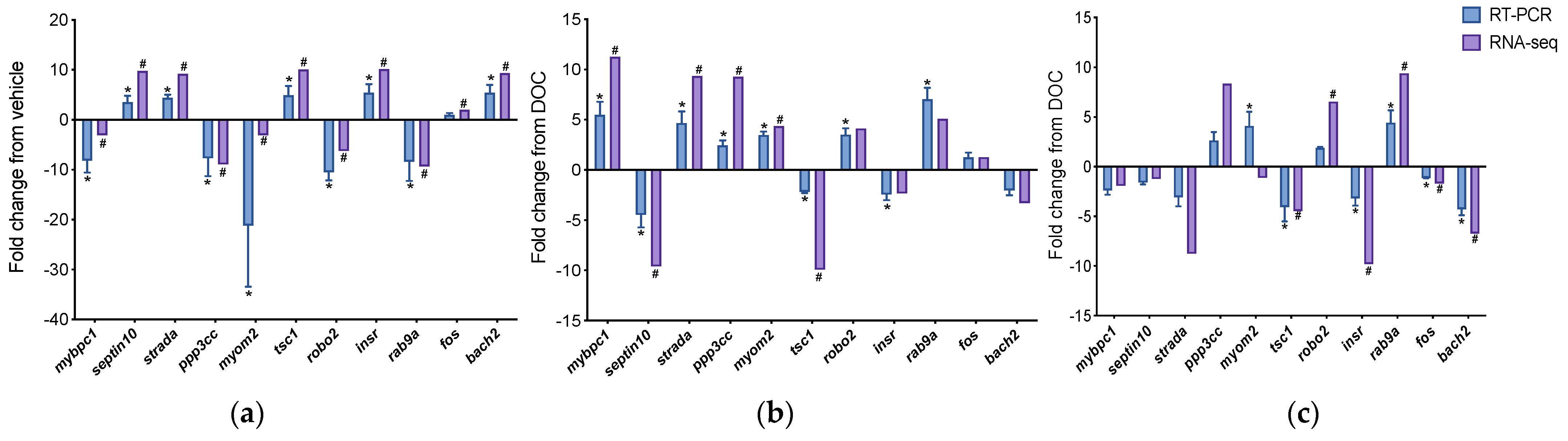 Genes 14 00512 g006 Genes 14 00512 g006