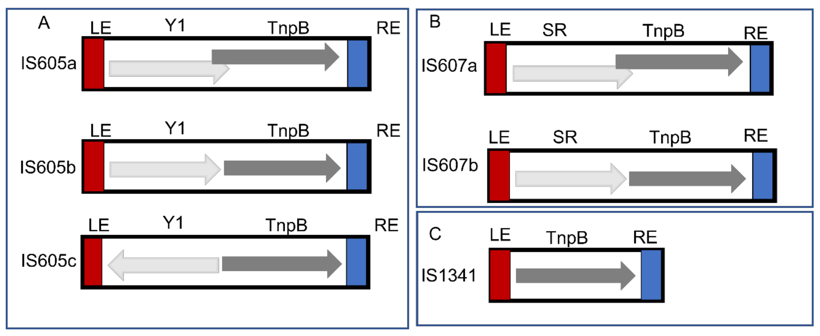 Genes 14 00523 g001 Genes 14 00523 g001