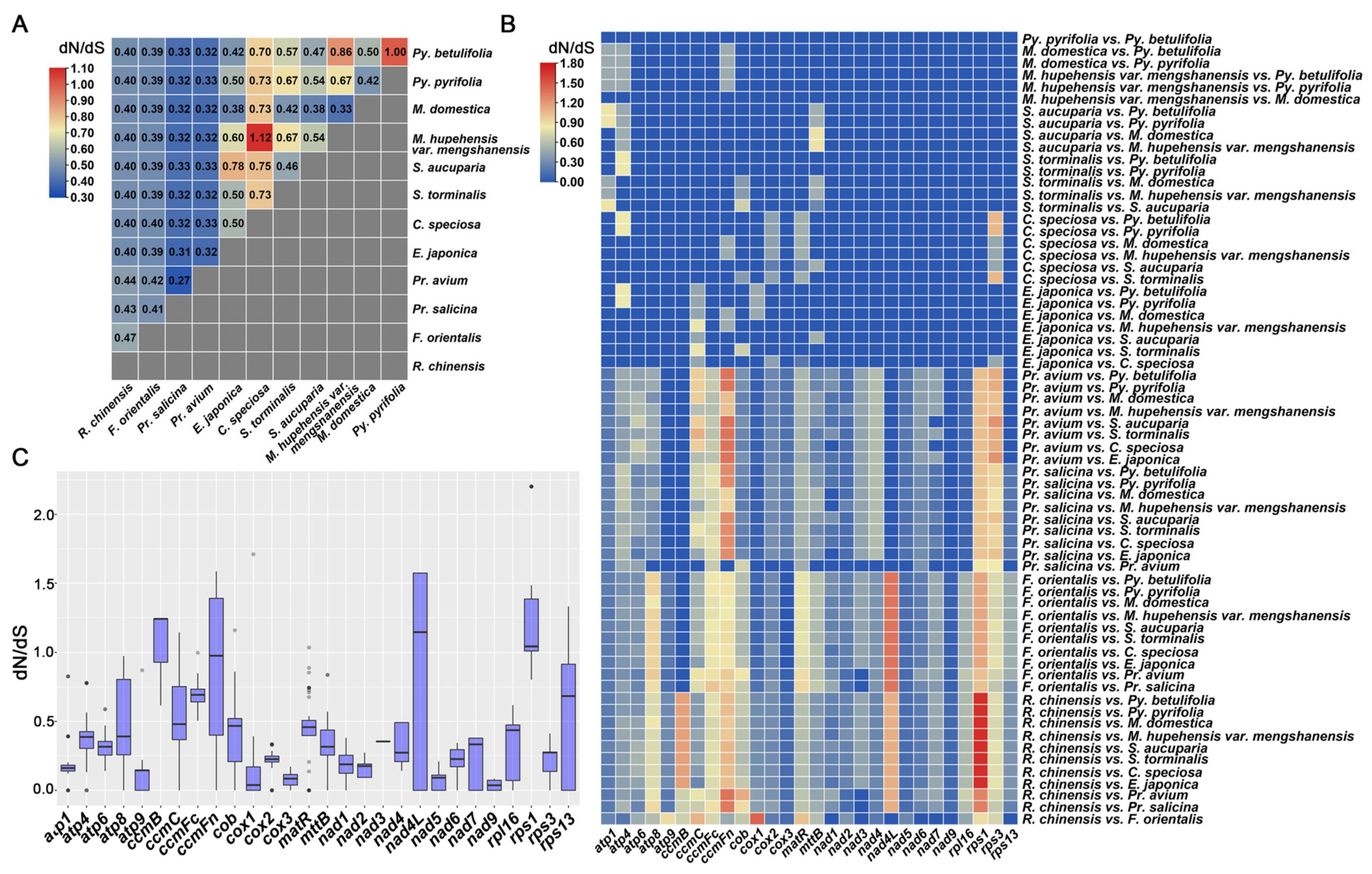 Genes 14 00526 g008 Genes 14 00526 g008