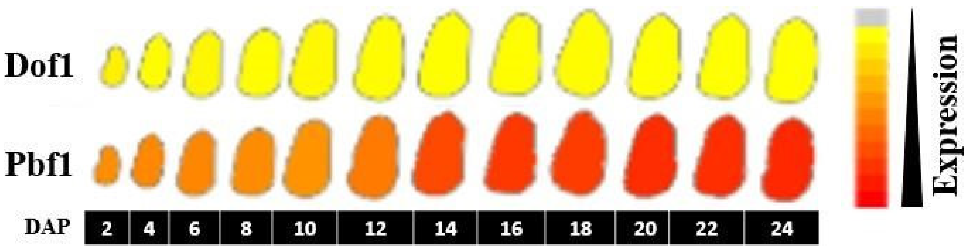 Genes 14 00531 g002 Genes 14 00531 g002
