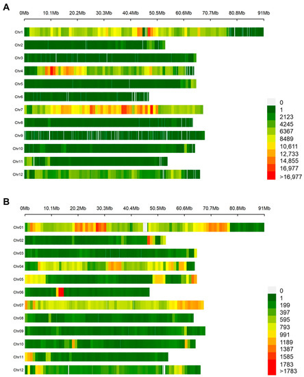 Genomic Insights into the Origin of a Thermotolerant Tomato