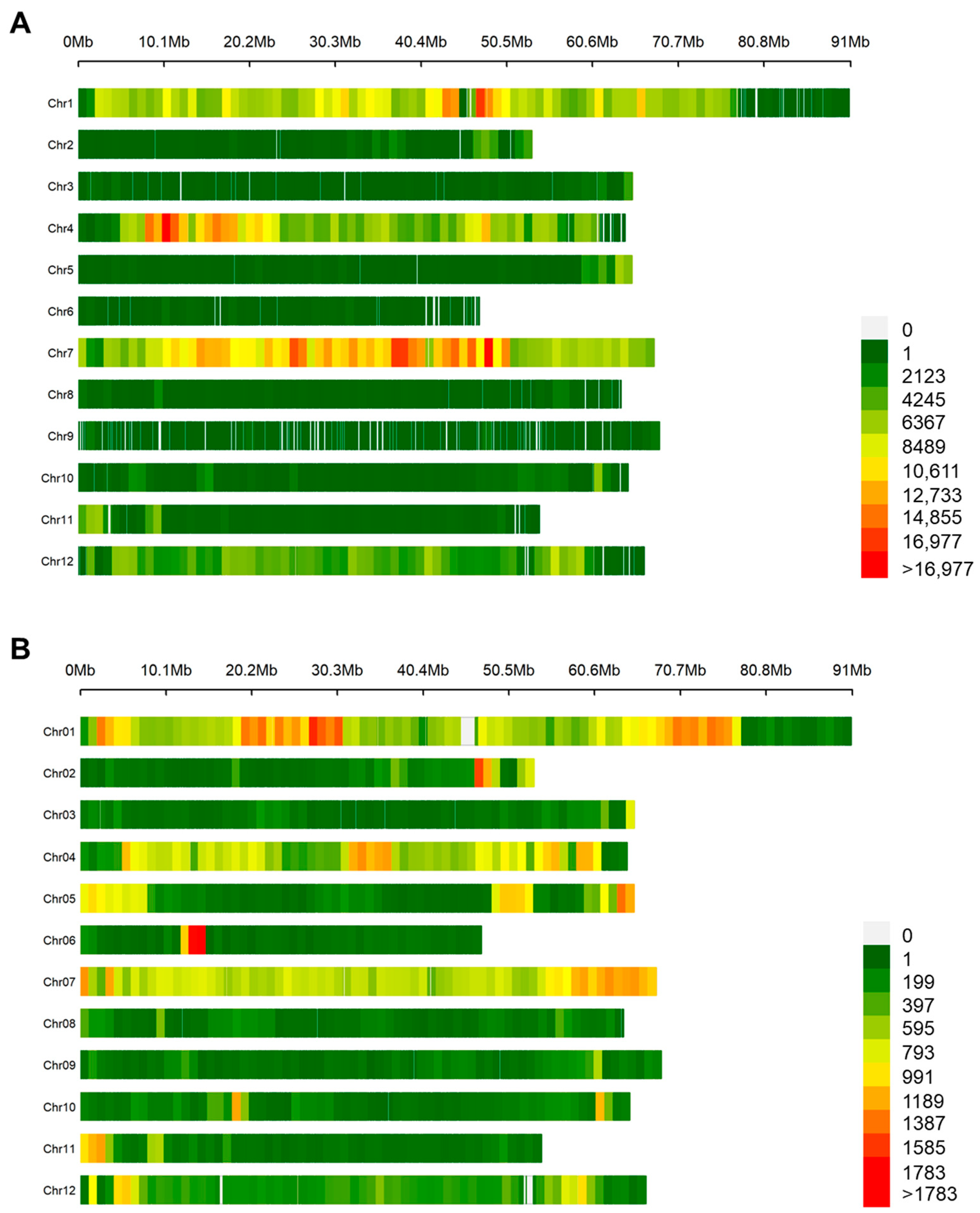 Genes 14 00535 g001