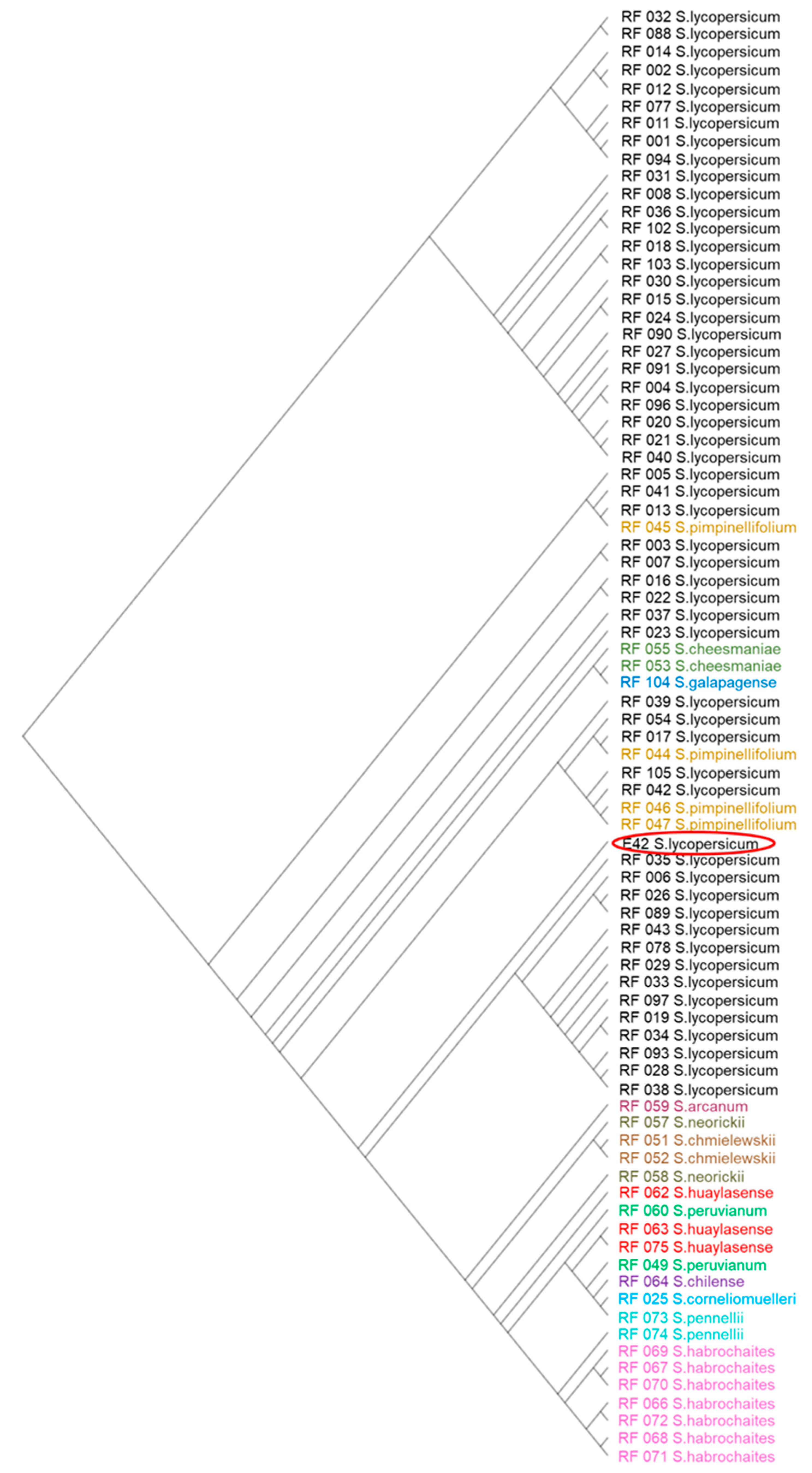 Genes 14 00535 g002