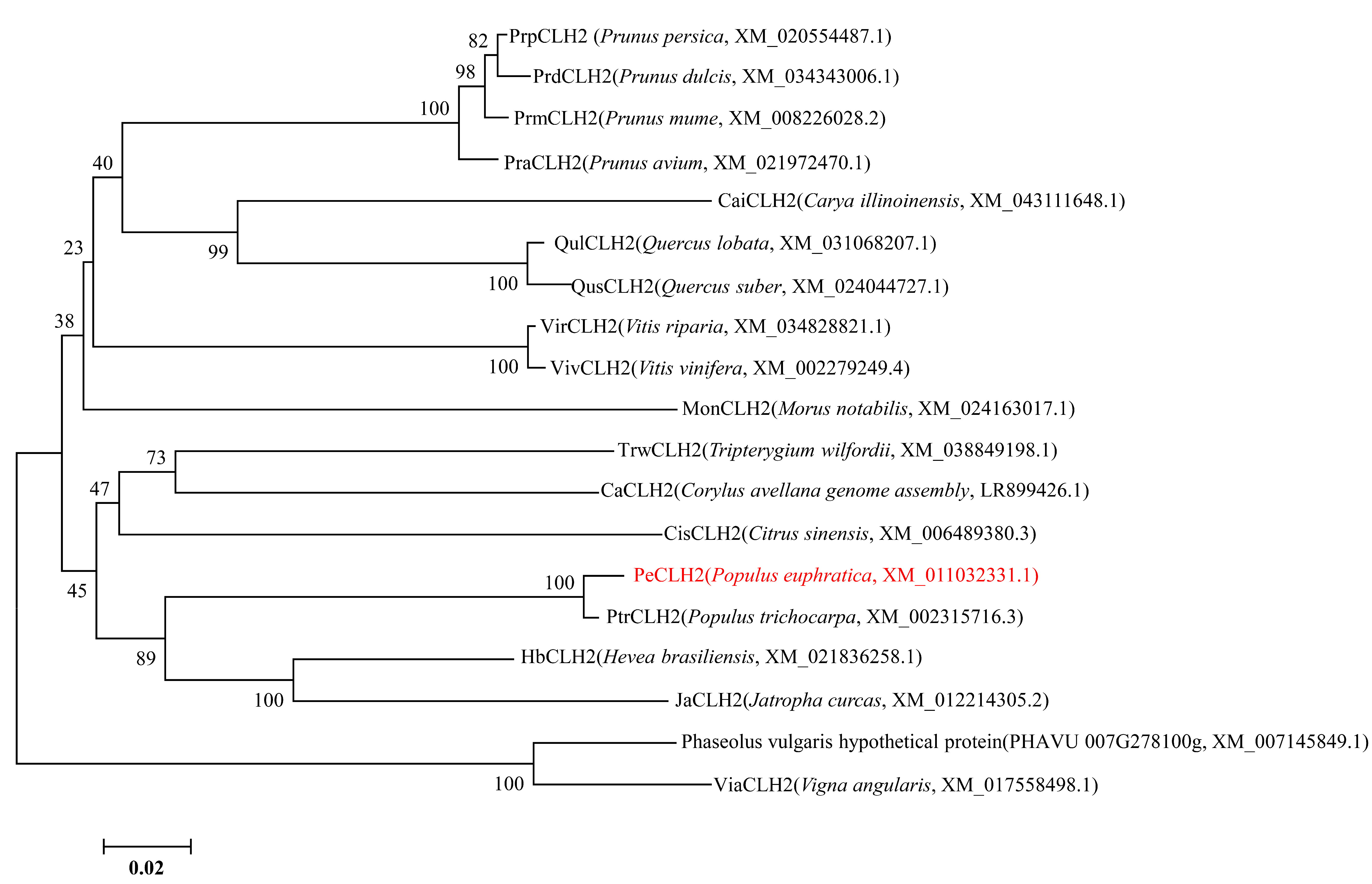 Genes 14 00538 g001 Genes 14 00538 g001