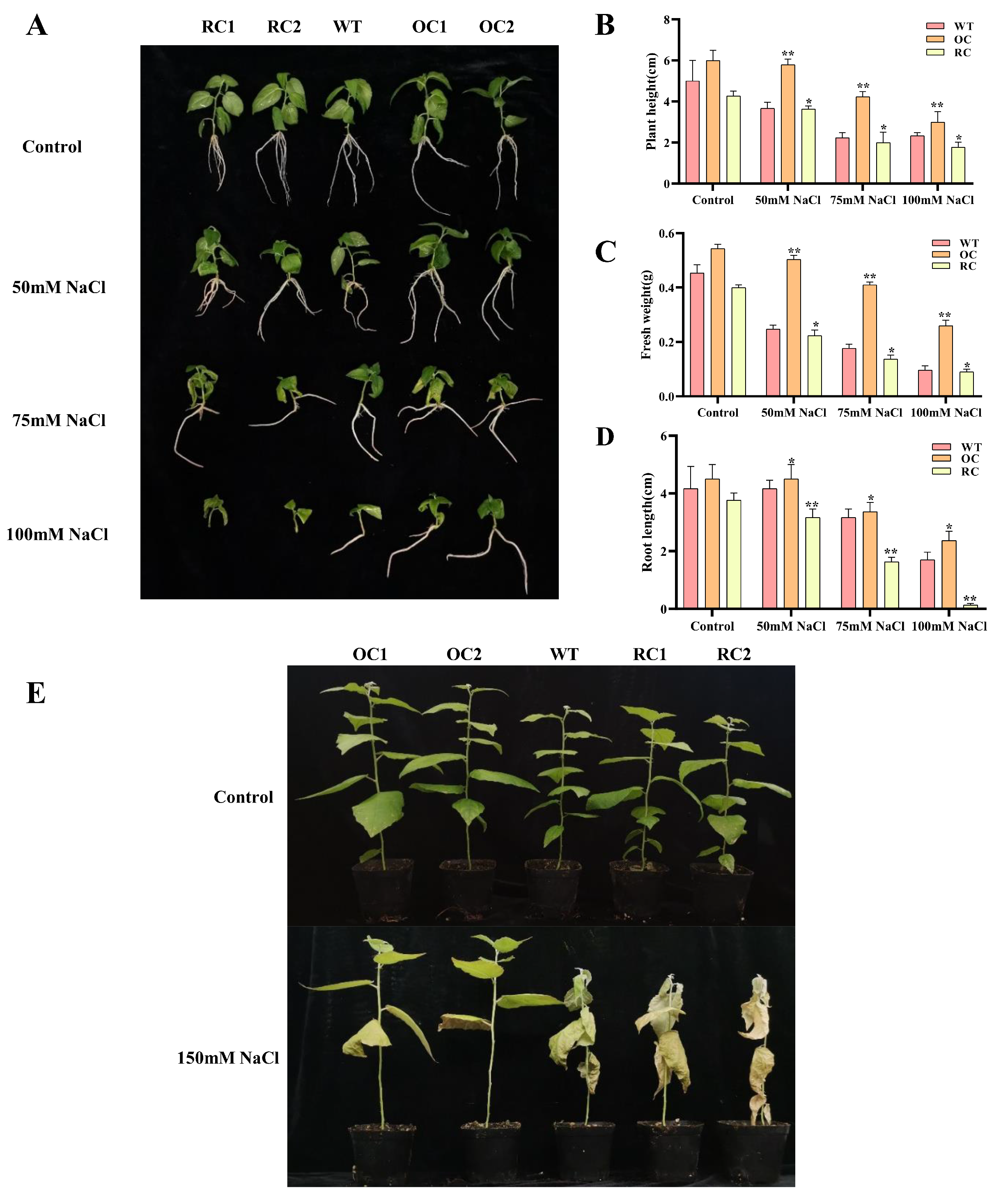 Genes 14 00538 g003 Genes 14 00538 g003