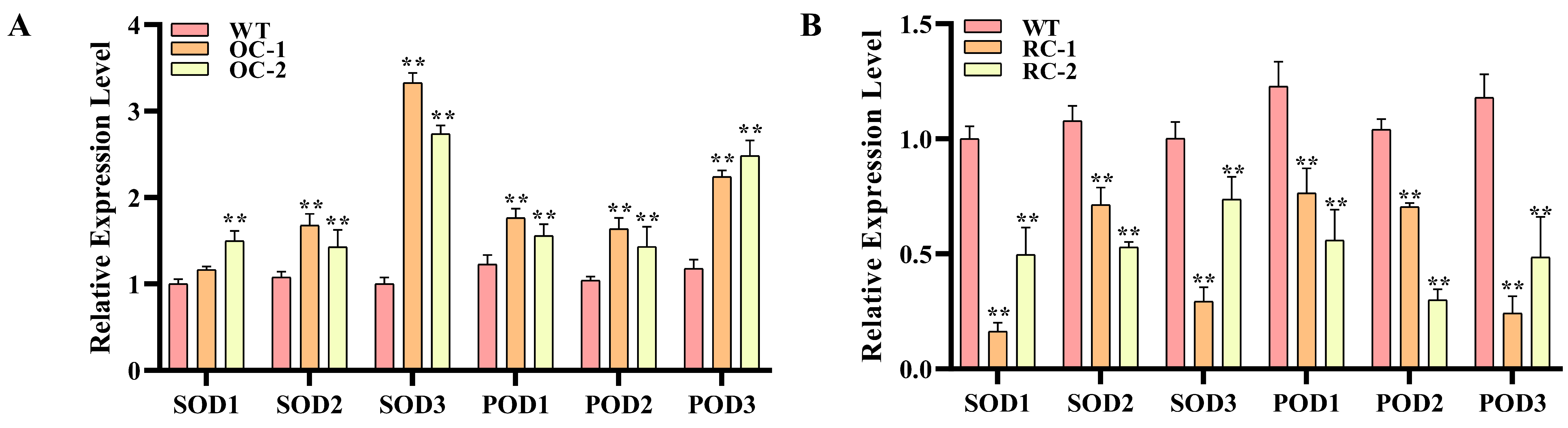 Genes 14 00538 g006 Genes 14 00538 g006