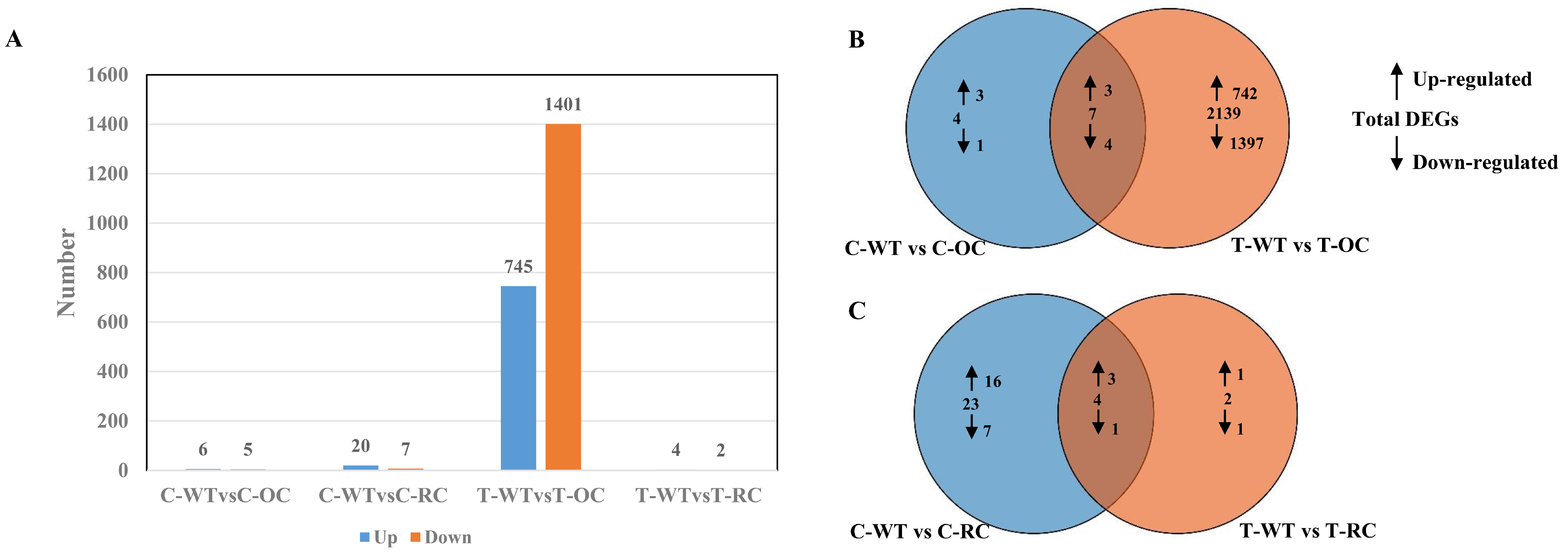 Genes 14 00538 g007 Genes 14 00538 g007