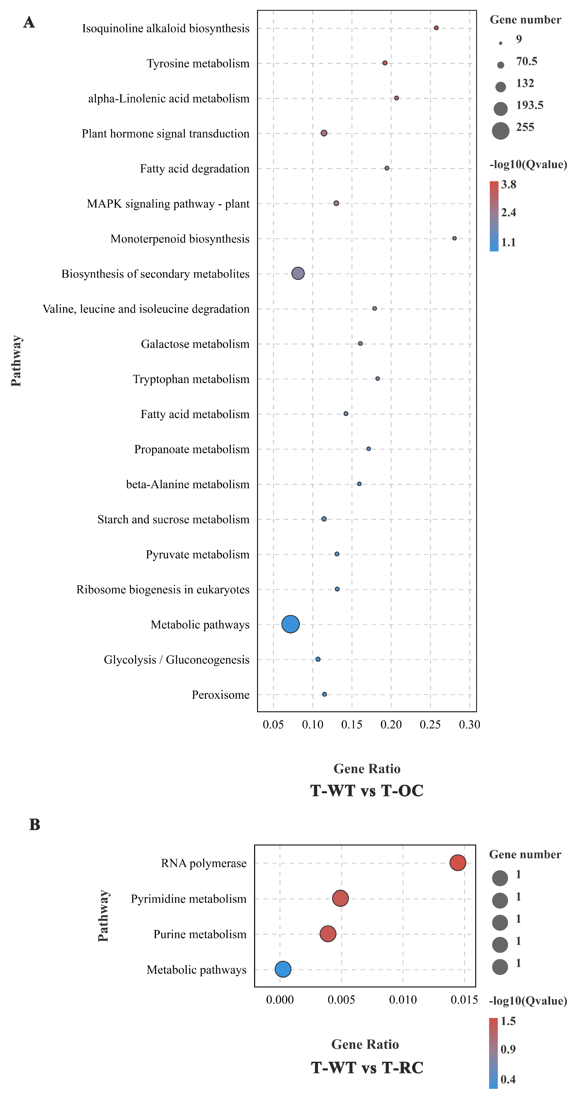 Genes 14 00538 g009 Genes 14 00538 g009