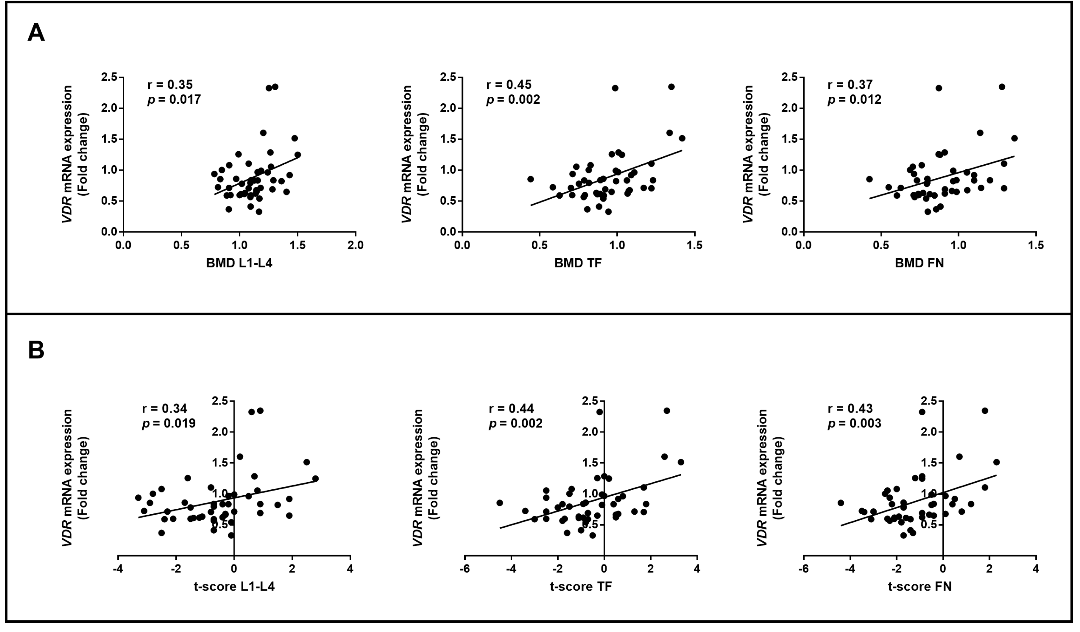 Genes 14 00542 g003 Genes 14 00542 g003