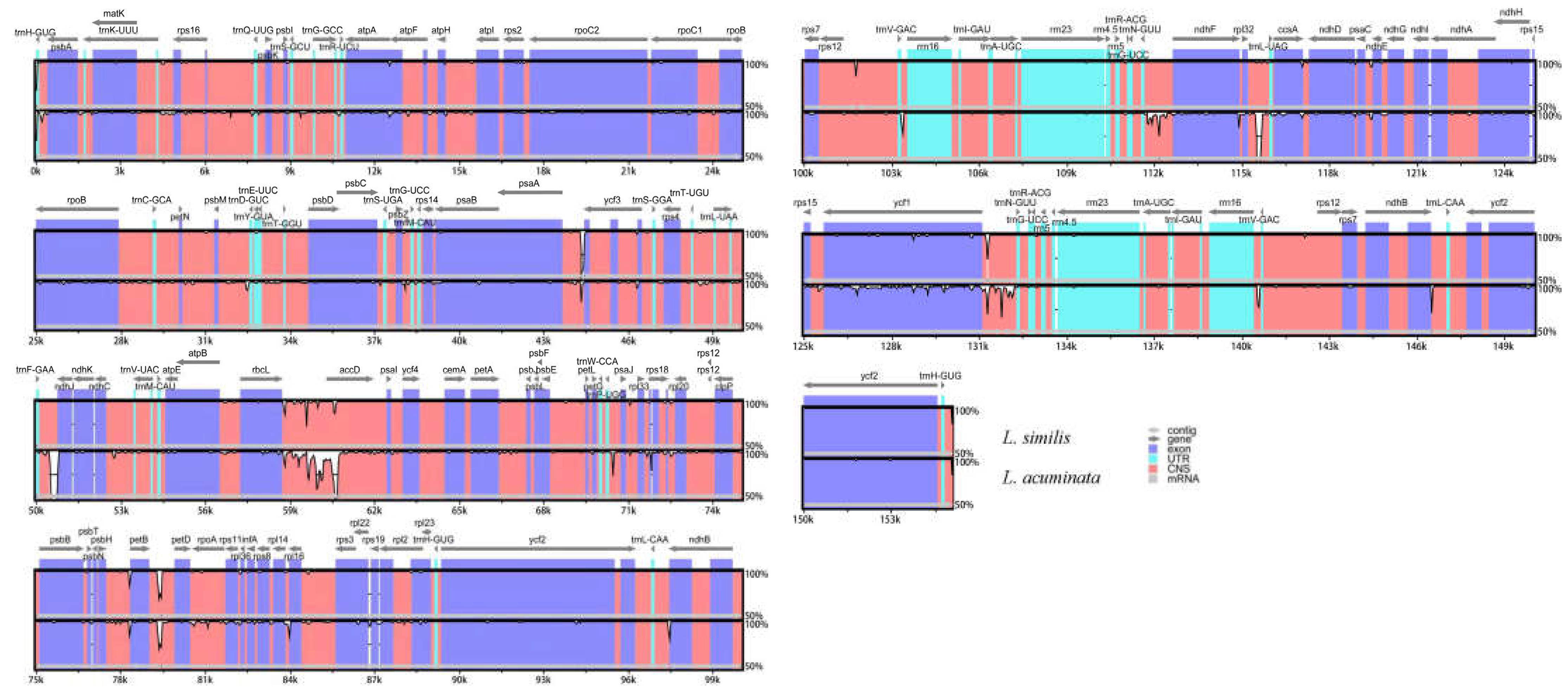 Genes 14 00548 g005 Genes 14 00548 g005