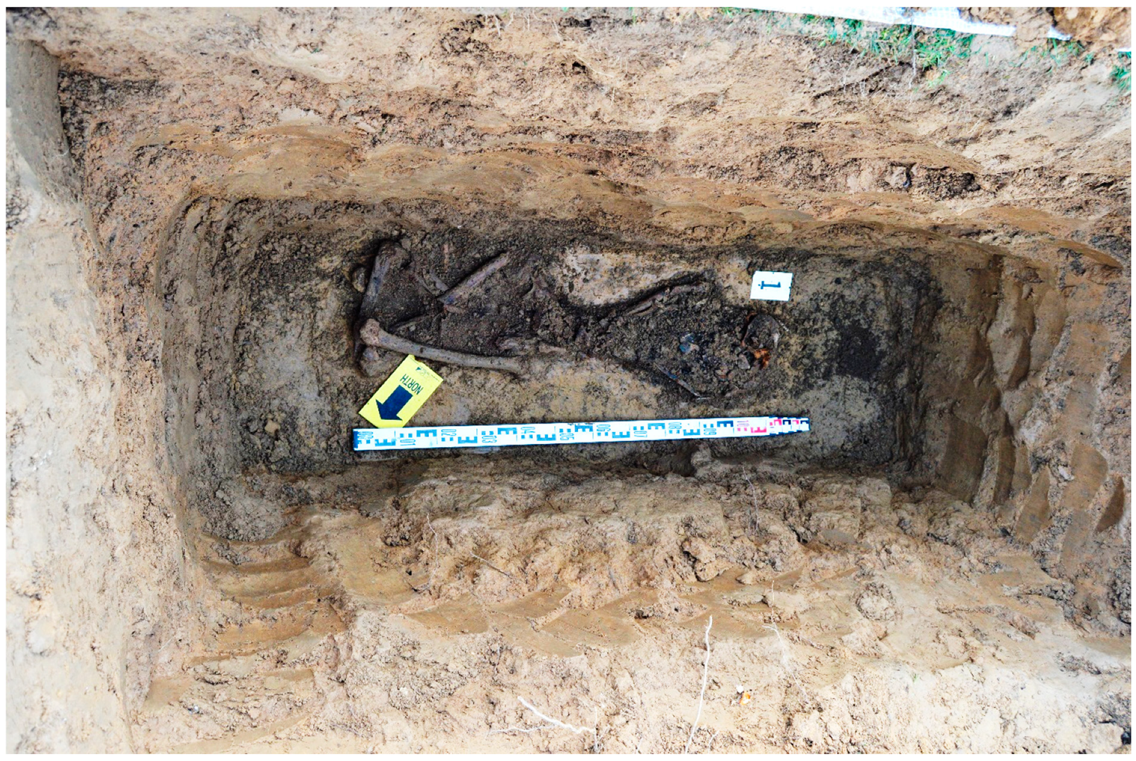 Genes 14 00551 g002 Genes 14 00551 g002