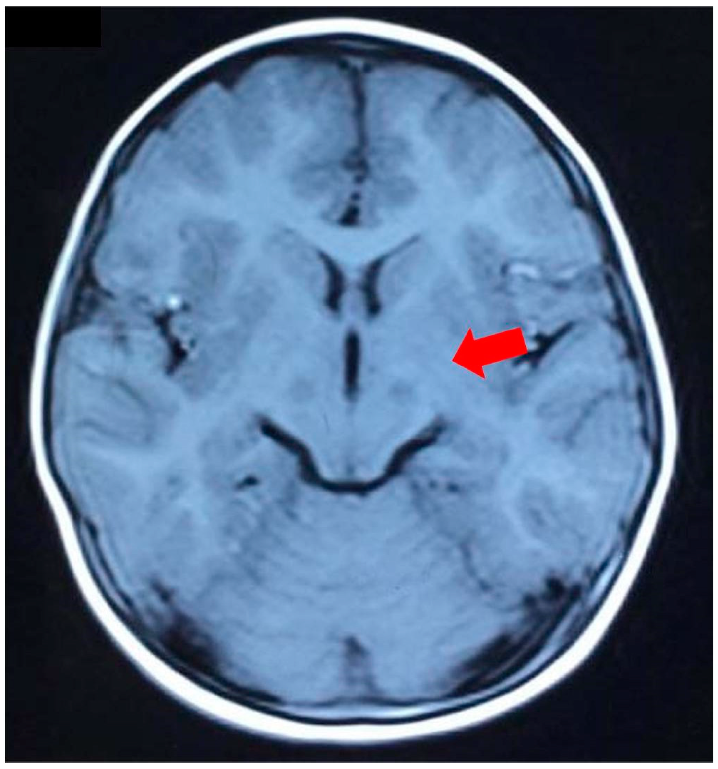 Genes 14 00552 g001 Genes 14 00552 g001