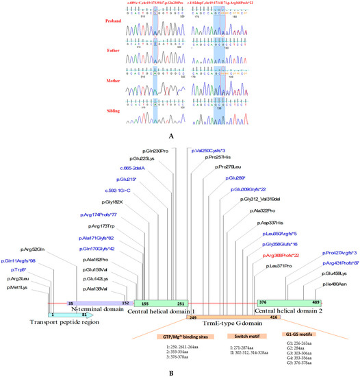 Pathogenicity Analysis of a Novel Variant in GTPBP3 Causing ...