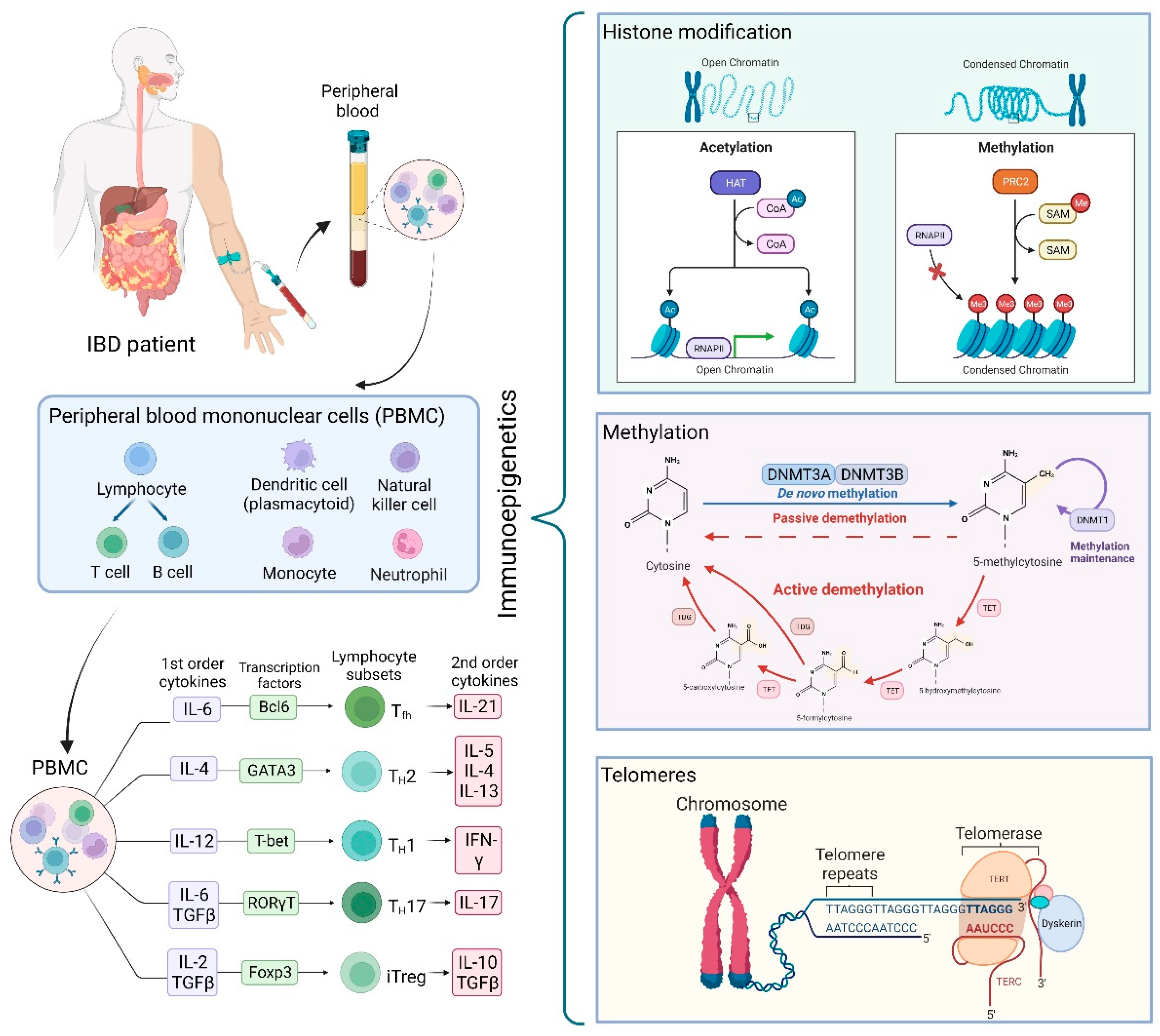 Genes 14 00554 g001