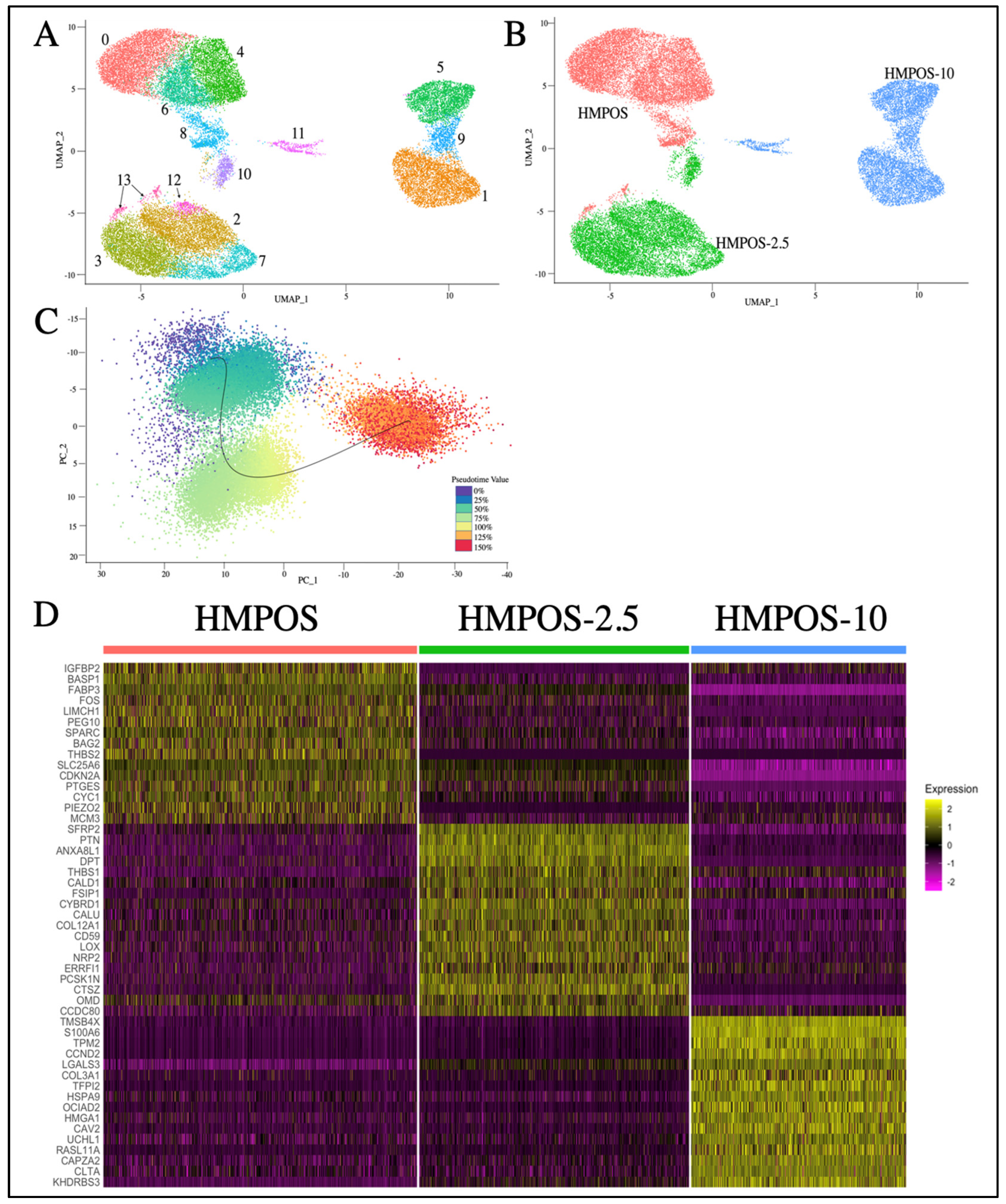 Genes 14 00558 g003 Genes 14 00558 g003
