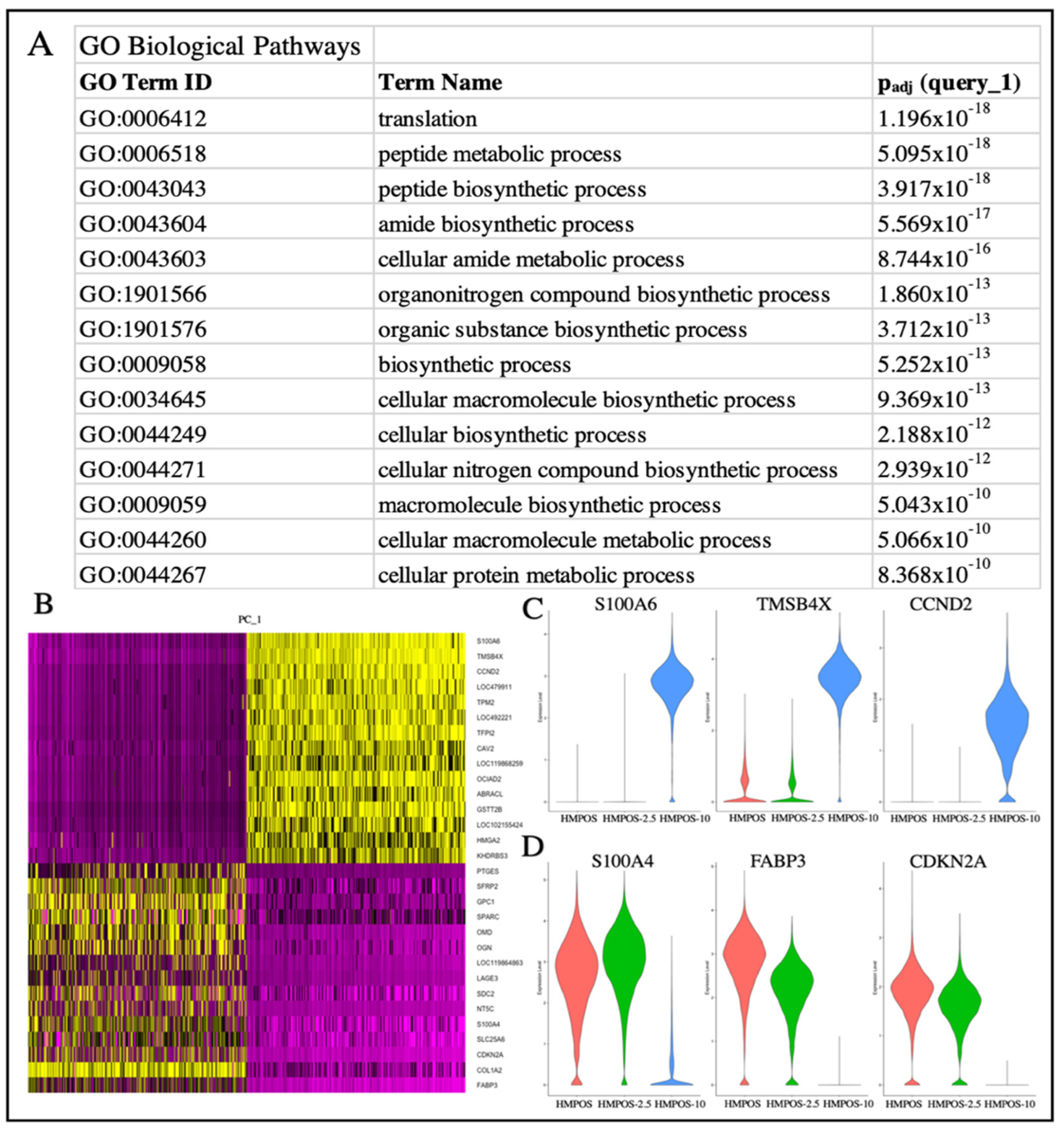 Genes 14 00558 g004 Genes 14 00558 g004