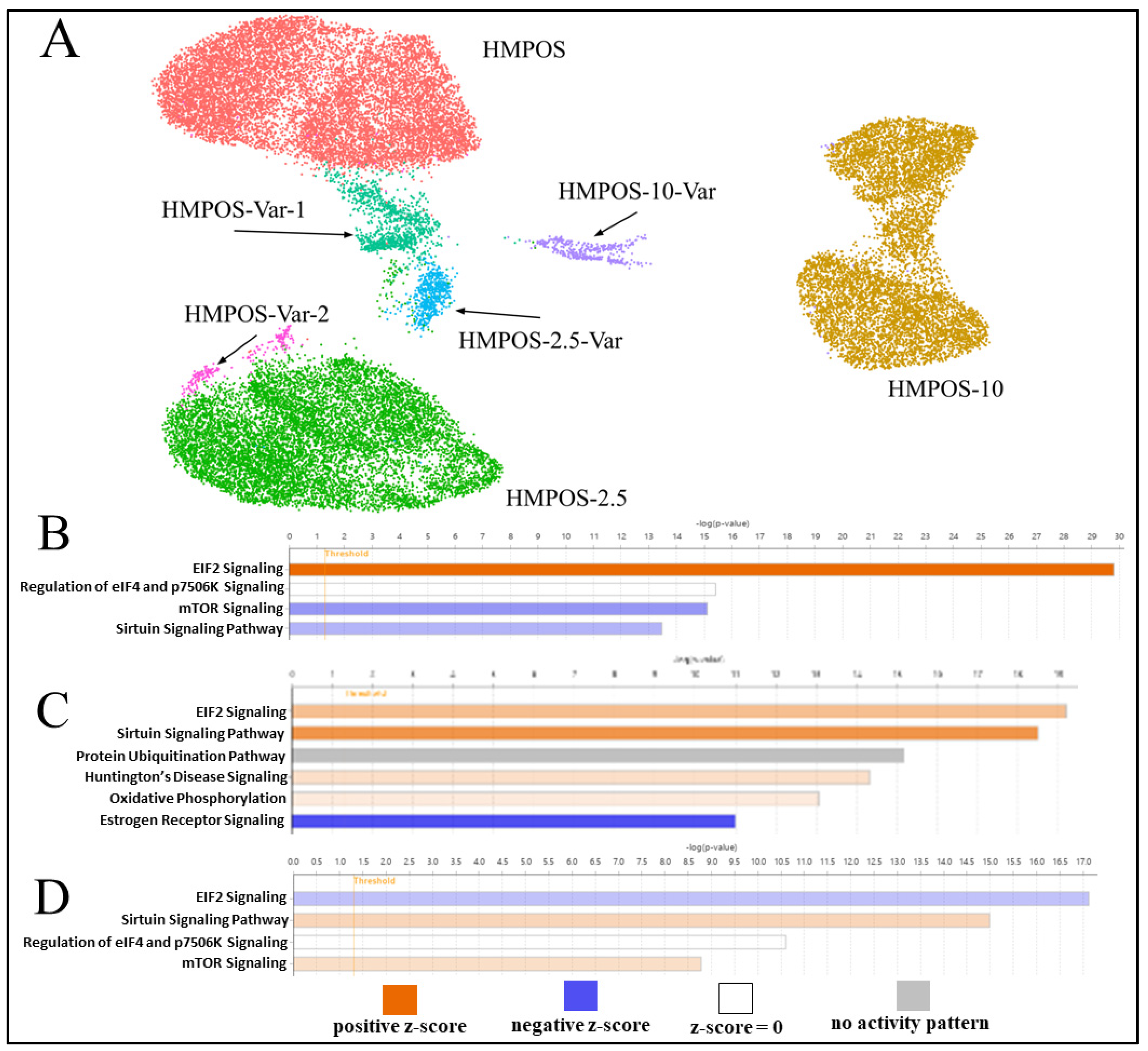 Genes 14 00558 g005 Genes 14 00558 g005
