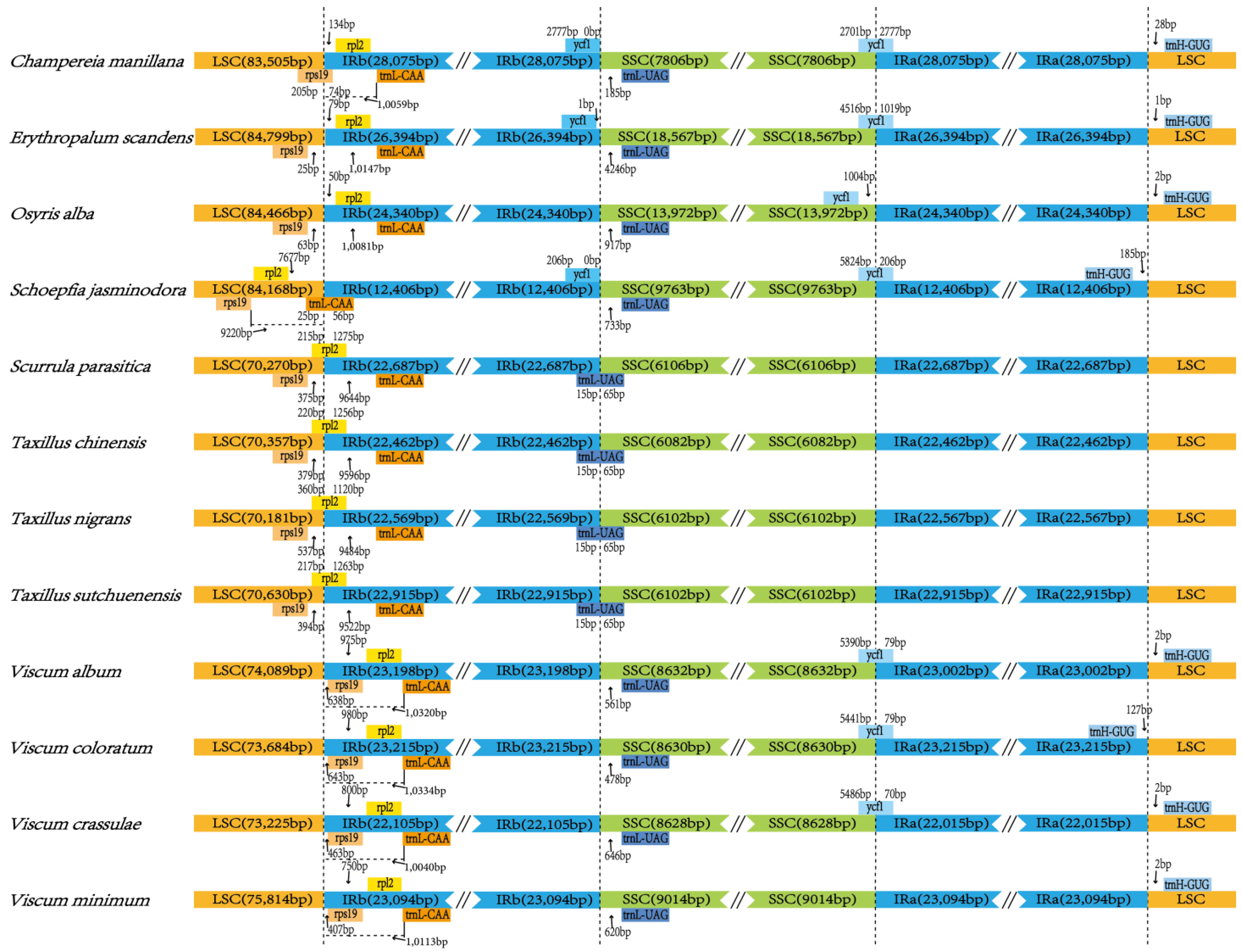 Genes 14 00560 g004 Genes 14 00560 g004