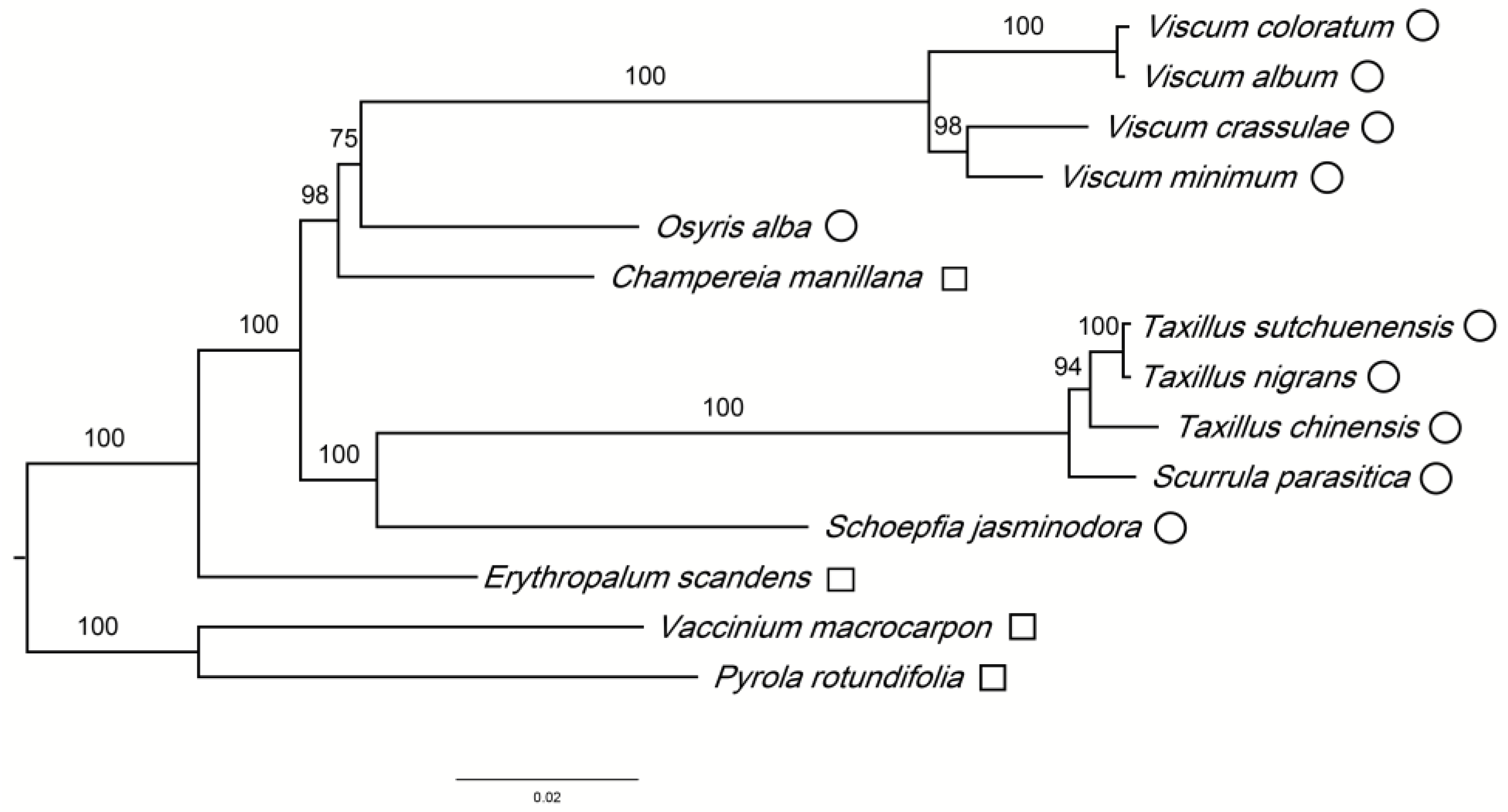 Genes 14 00560 g005 Genes 14 00560 g005