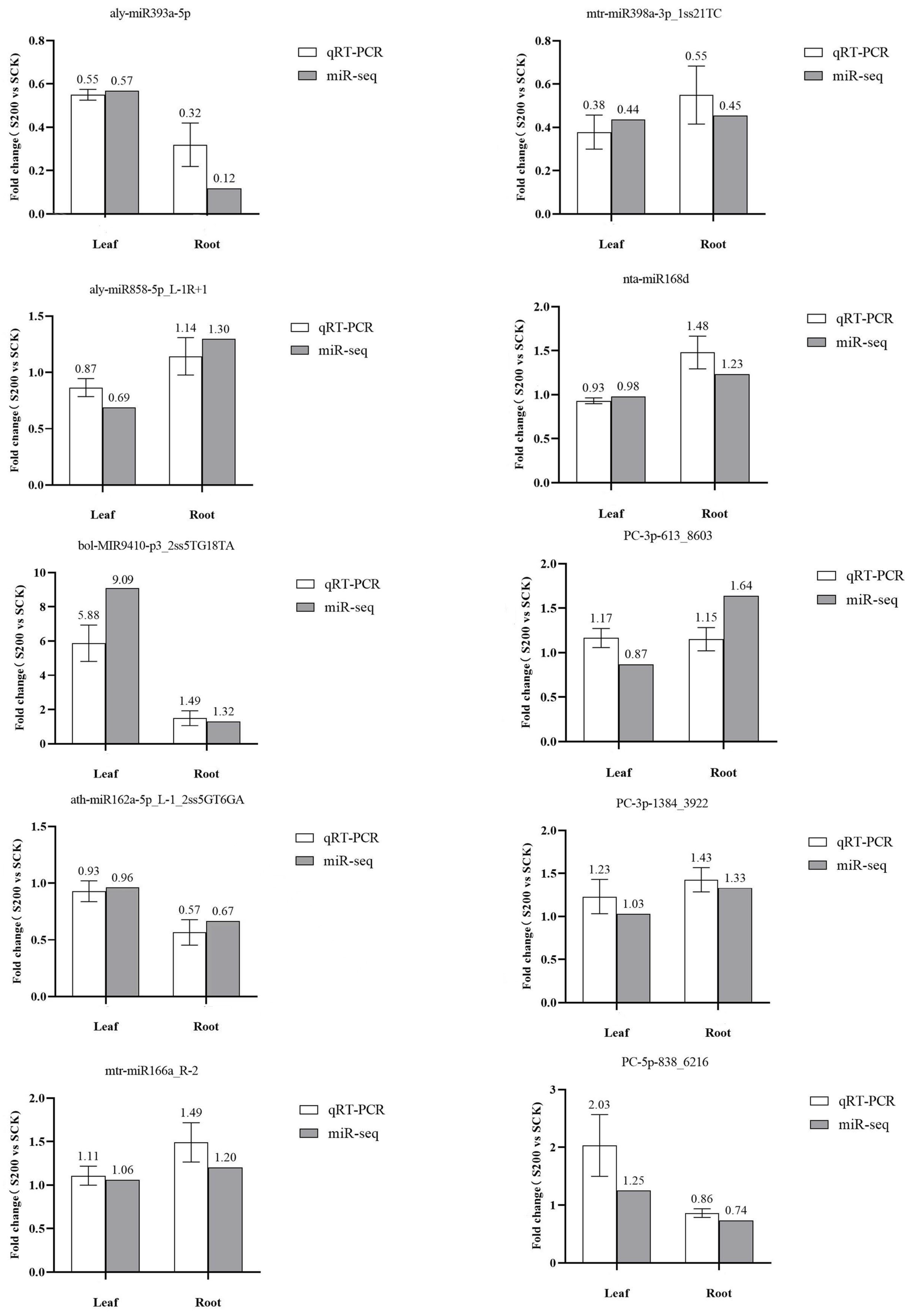 Genes 14 00561 g004 Genes 14 00561 g004