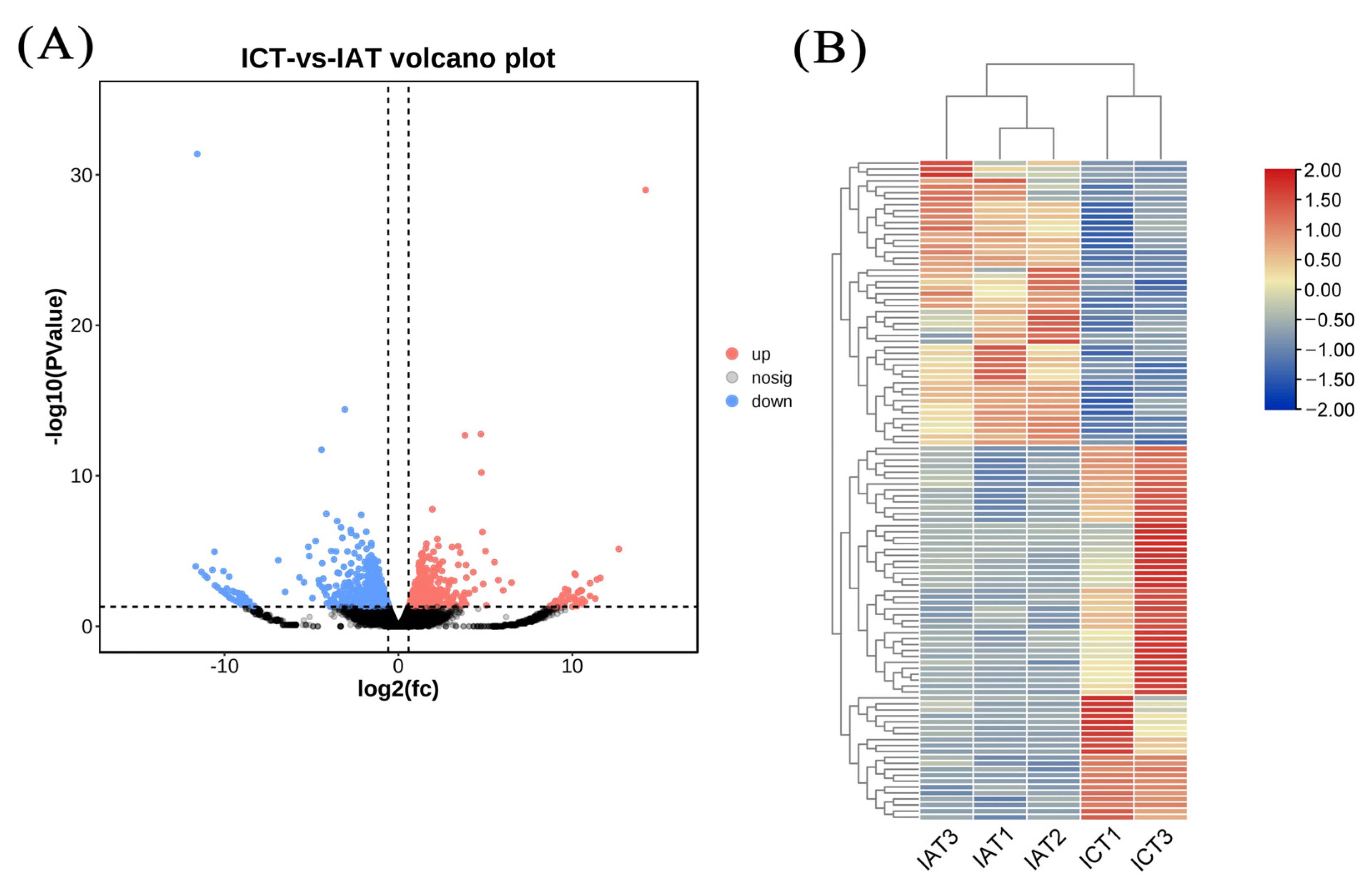 Genes 14 00564 g003 Genes 14 00564 g003