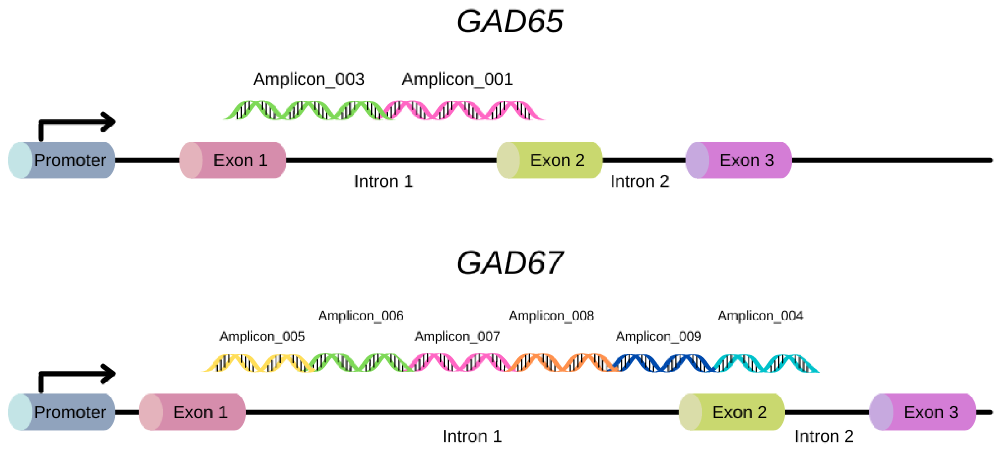 Genes 14 00565 g008 Genes 14 00565 g008
